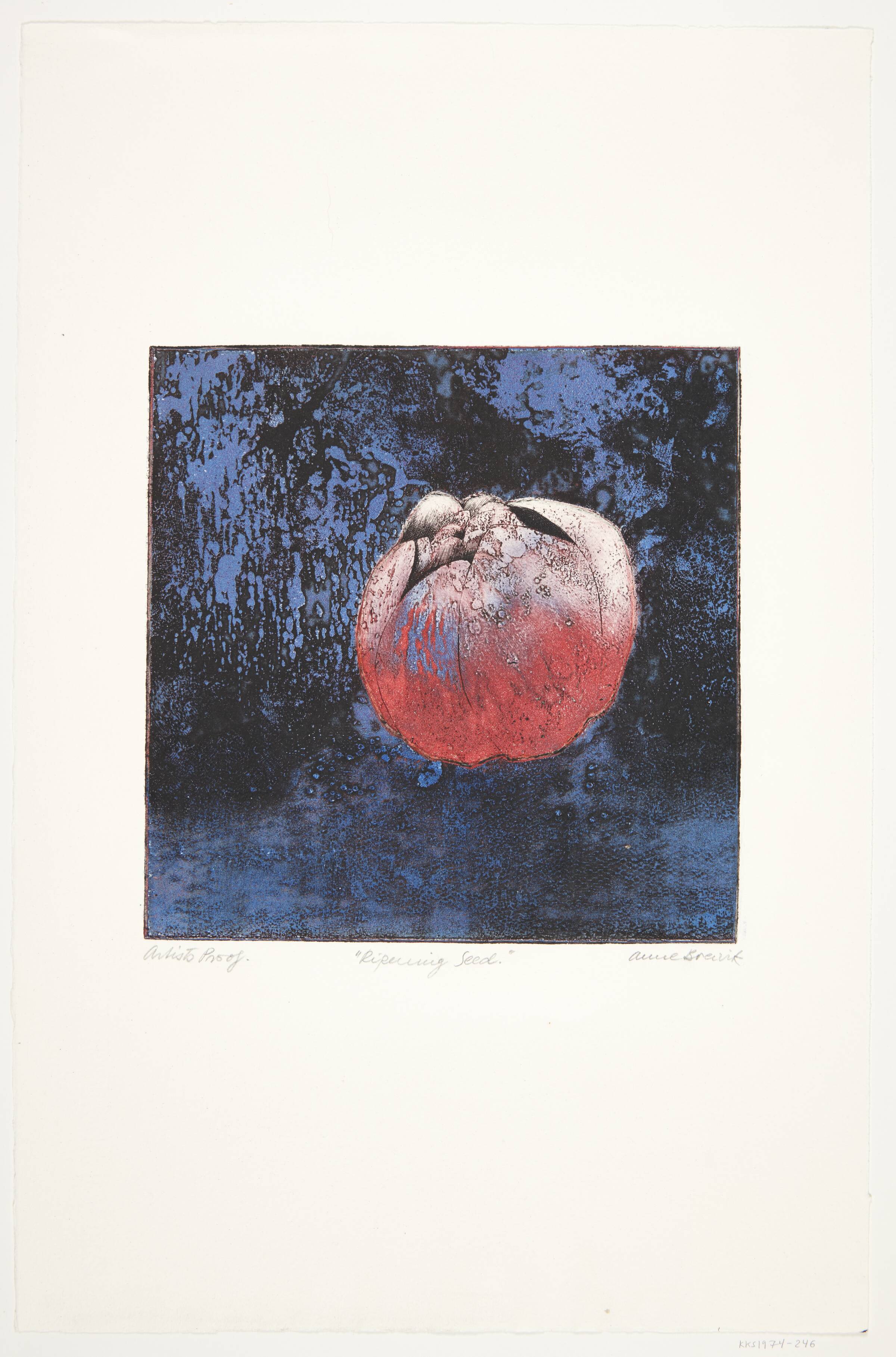 "Ripening Seed", Breivik, Anne, 1973