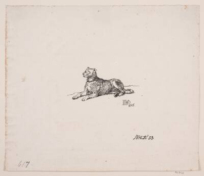 En liggende hund
