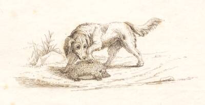 Illustration til "Halvhundrede Fabler for Børn" af Hey