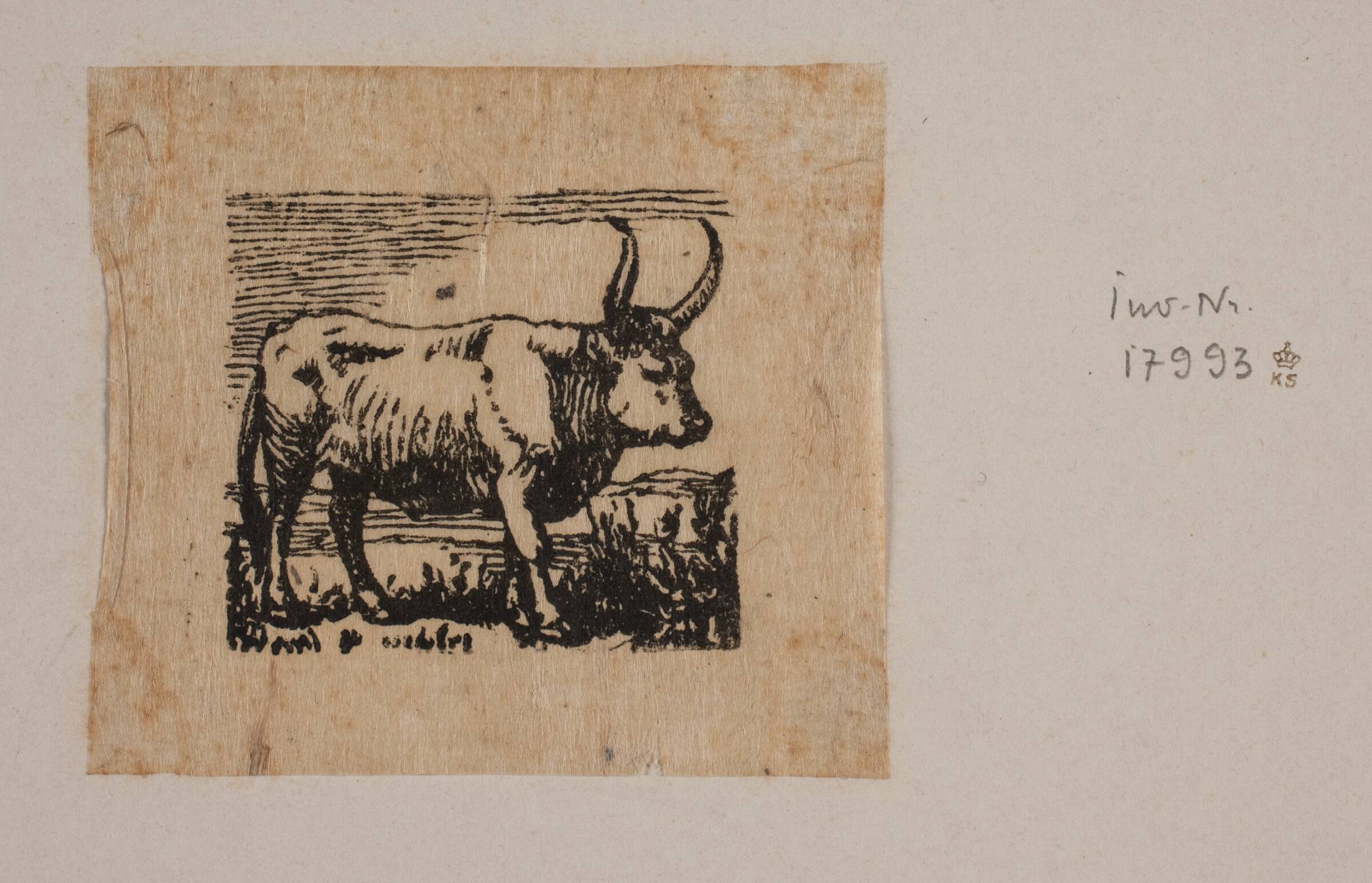 En okse, Niels Skovgaard, 1868-1872