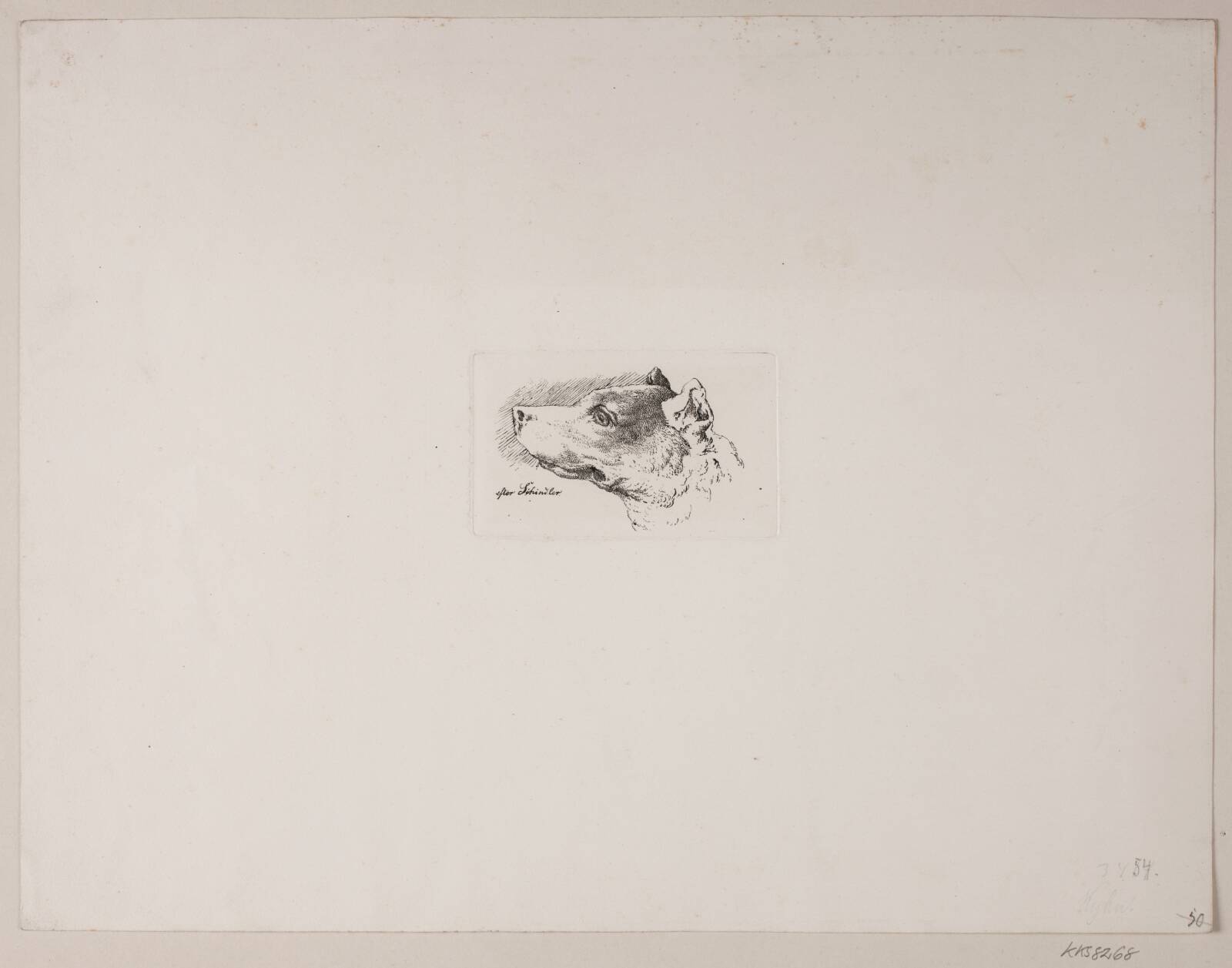 Hundehoved, Vilhelm Kyhn, 1842