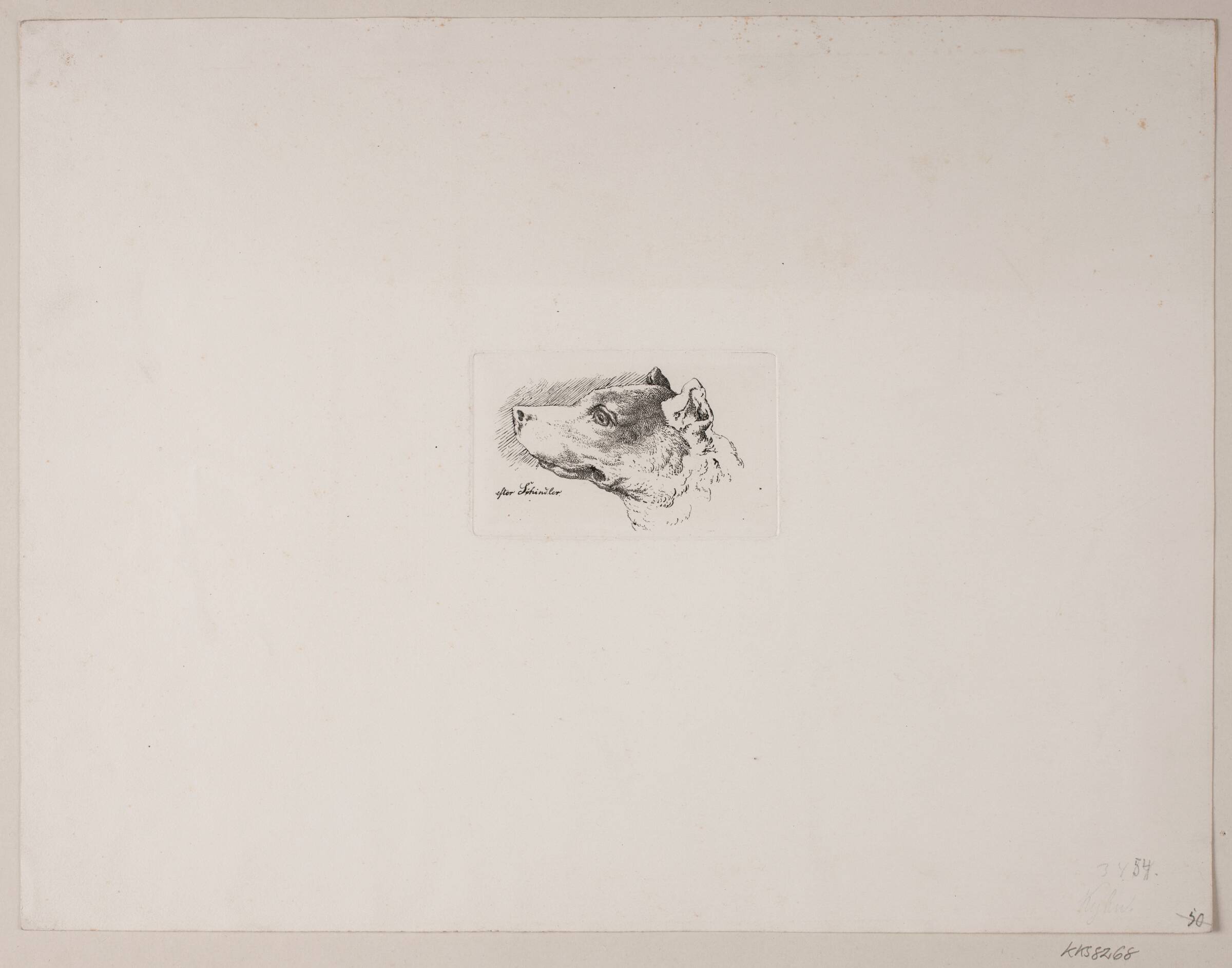 Hundehoved, Vilhelm Kyhn, 1842