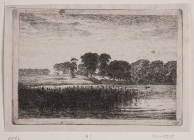 Ved Vesterborg sø