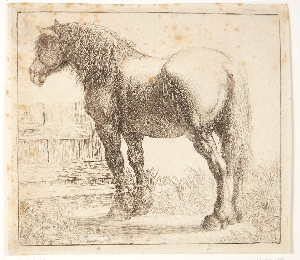 Arbejdshest ved et hegn, Simon de Vlieger, 1600-1653