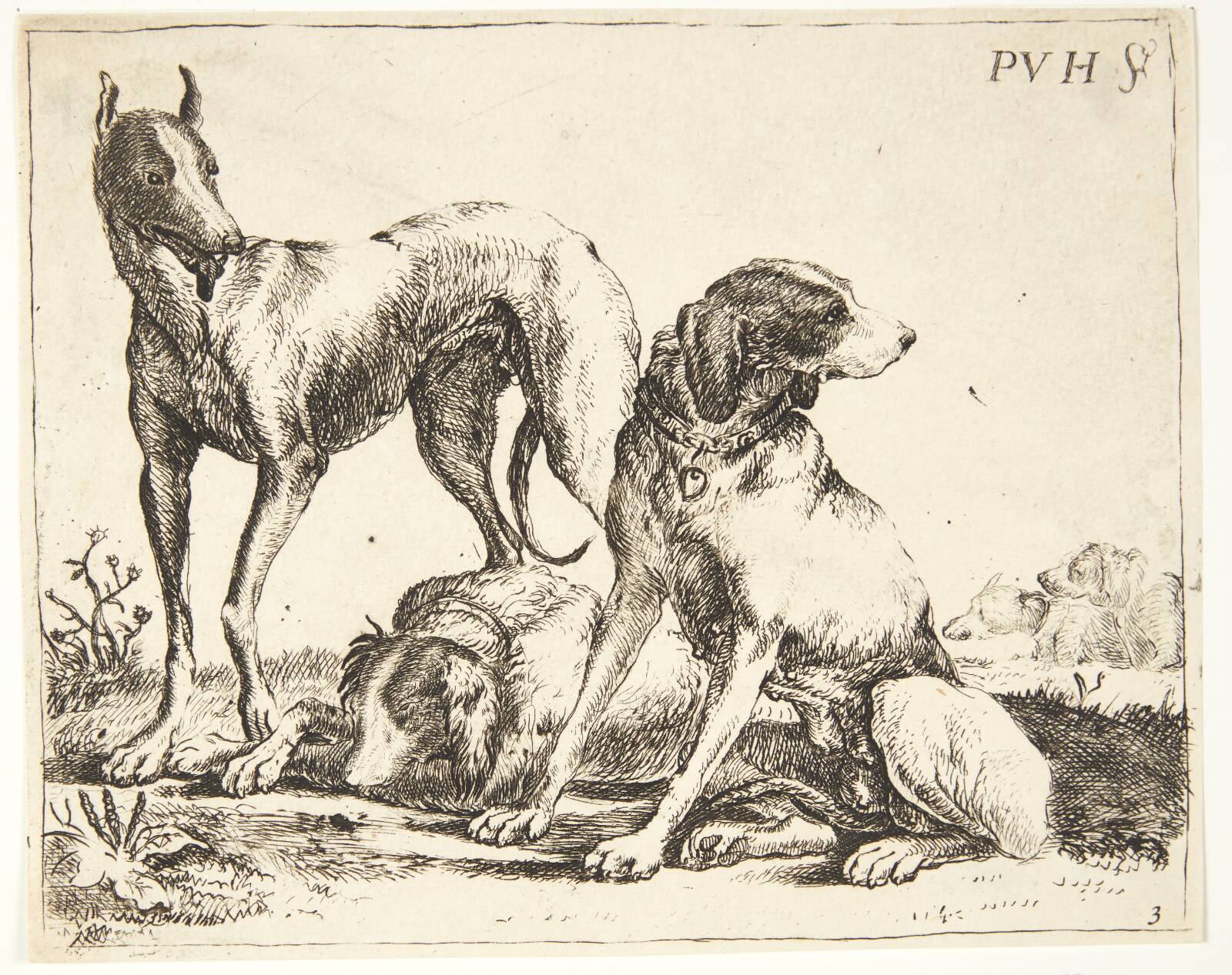 Tre hunde, Paulus van Hillegaert, 1621-1658