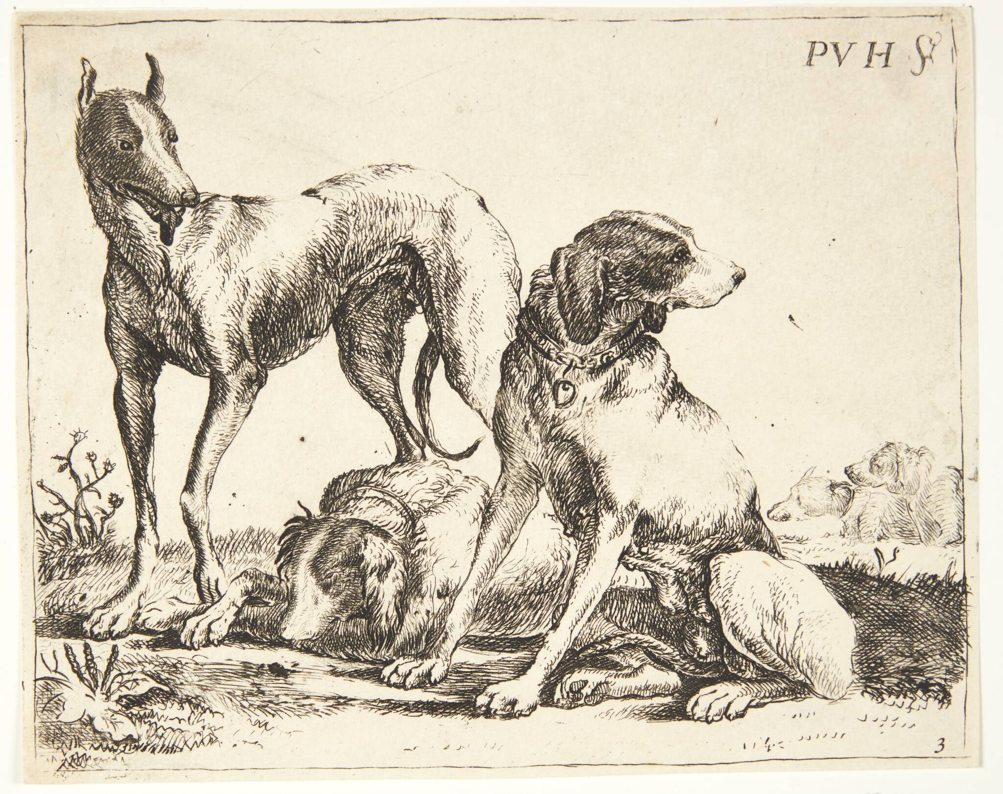 Tre hunde