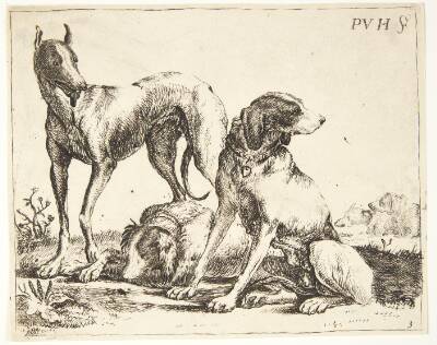 Tre hunde