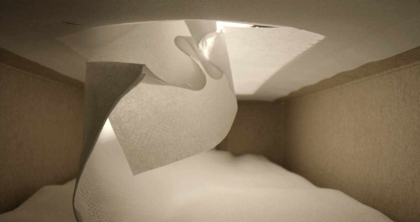 Tissue Technology, Henriette Heise, 2025