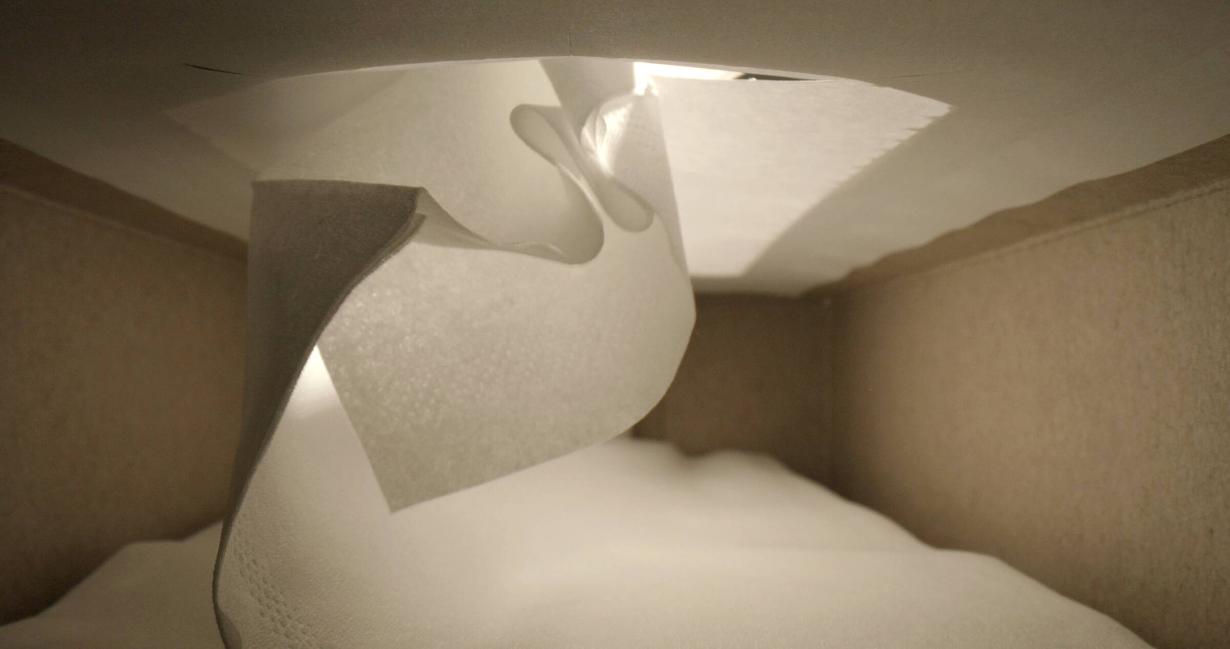 Tissue Technology, Henriette Heise, 2025