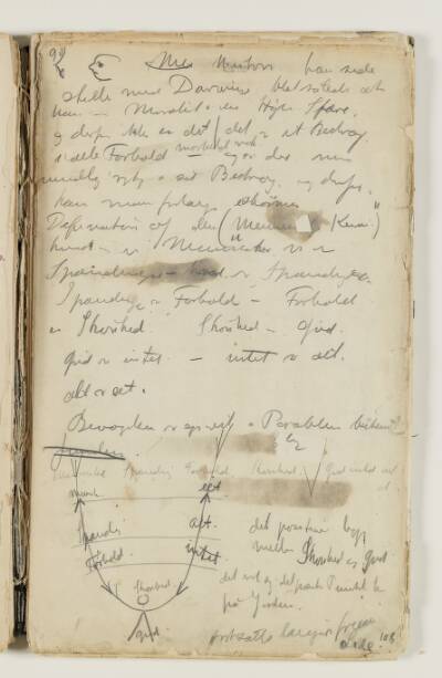 Notater om Newton[?], Darwin og moral. Desuden definition på den "Menneskelige Kemi" samt et diagram over samme, hvor der modstilles begreber som menneske - eet, spænding - alt, forhold - intet, skønhed - gud