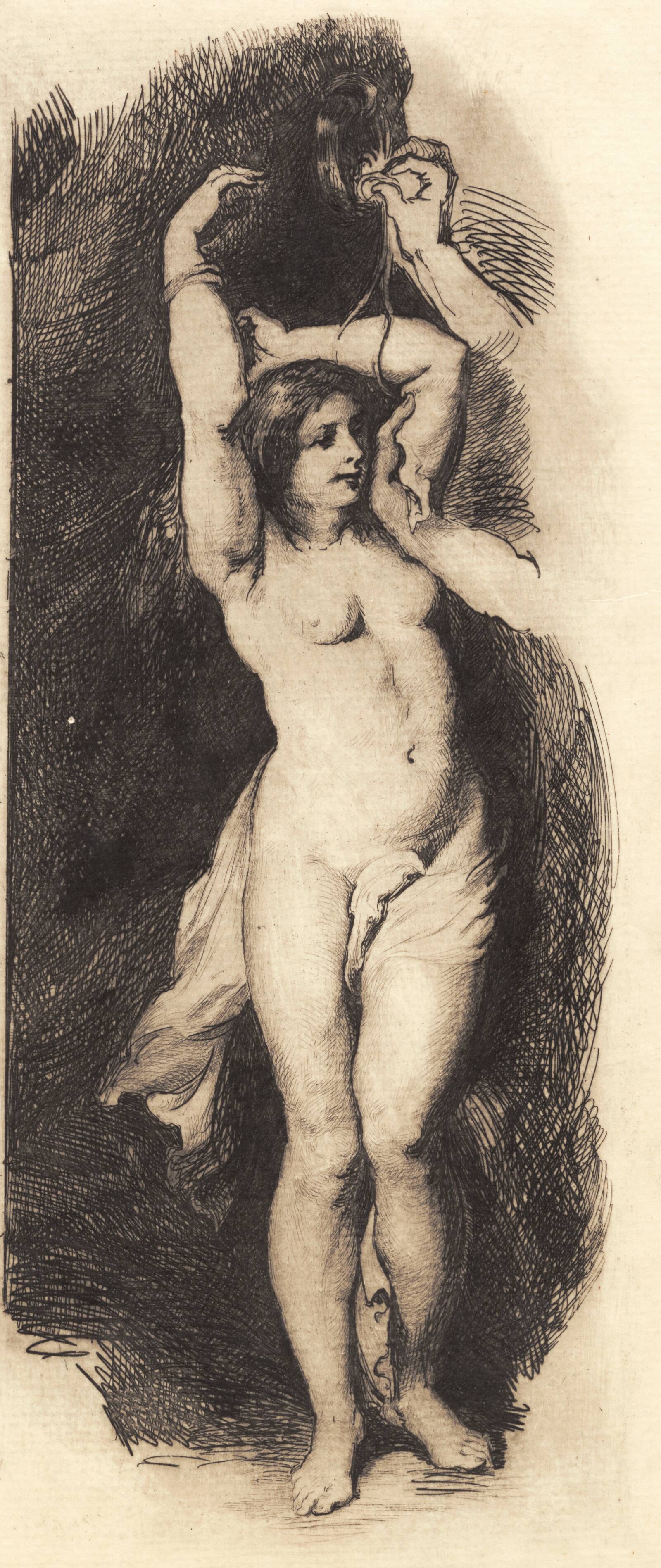 Andromeda, efter Rubens, Frans Schwartz, 1881