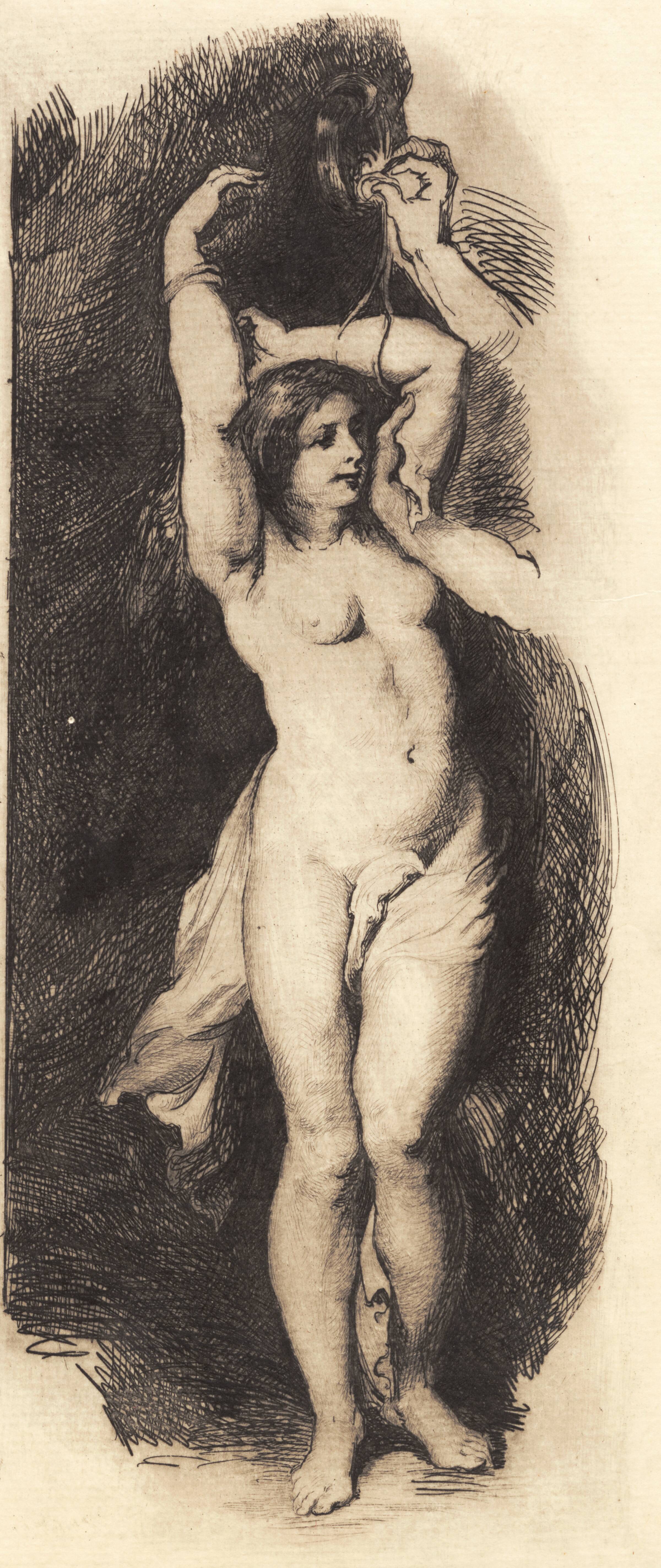Andromeda, efter Rubens, Frans Schwartz, 1881