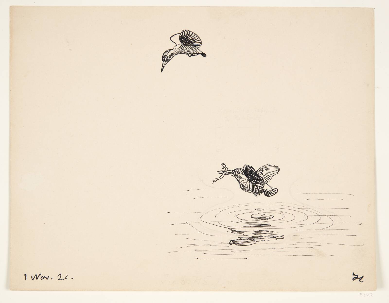 Fuglestudie, Johannes Larsen, 1921