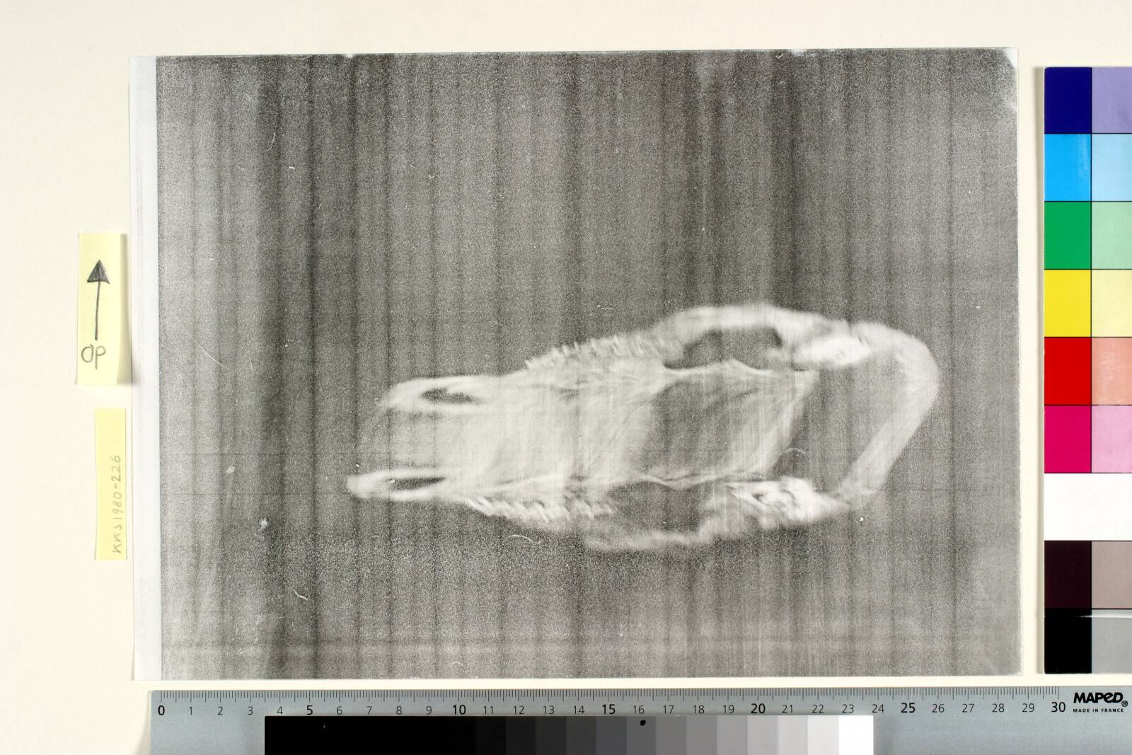 Fårekranium, Jørgen Rømer, 1980