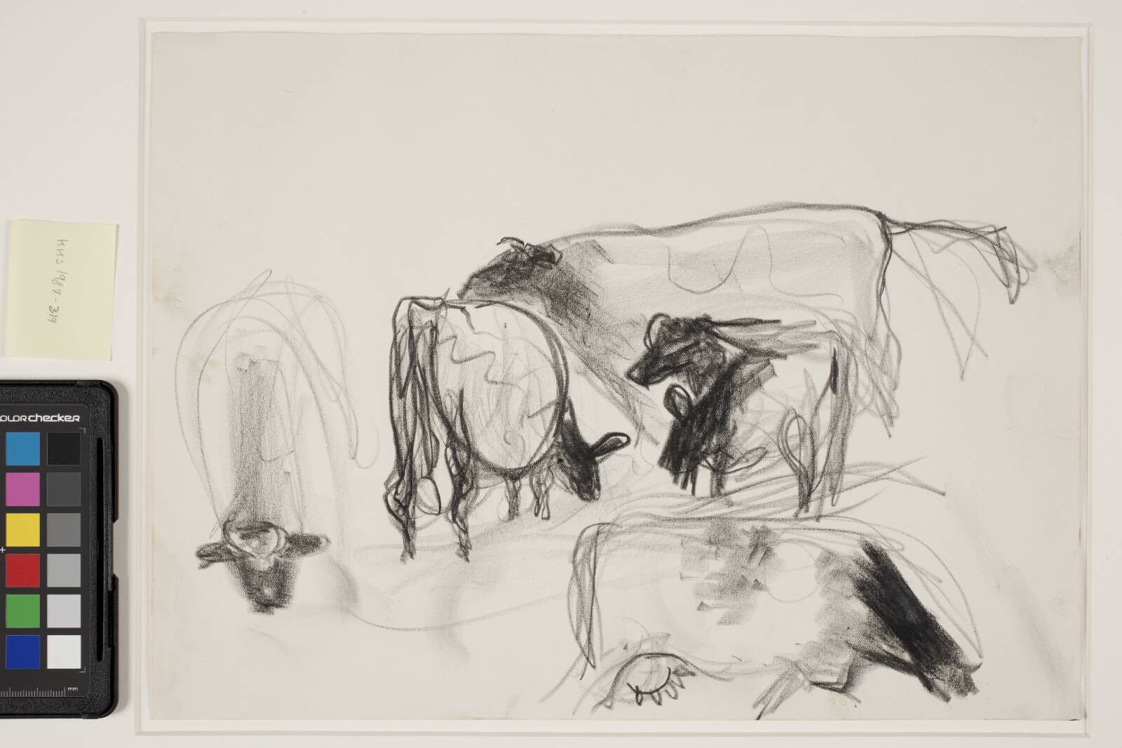 Studie af køer, Jens Søndergaard, 1934