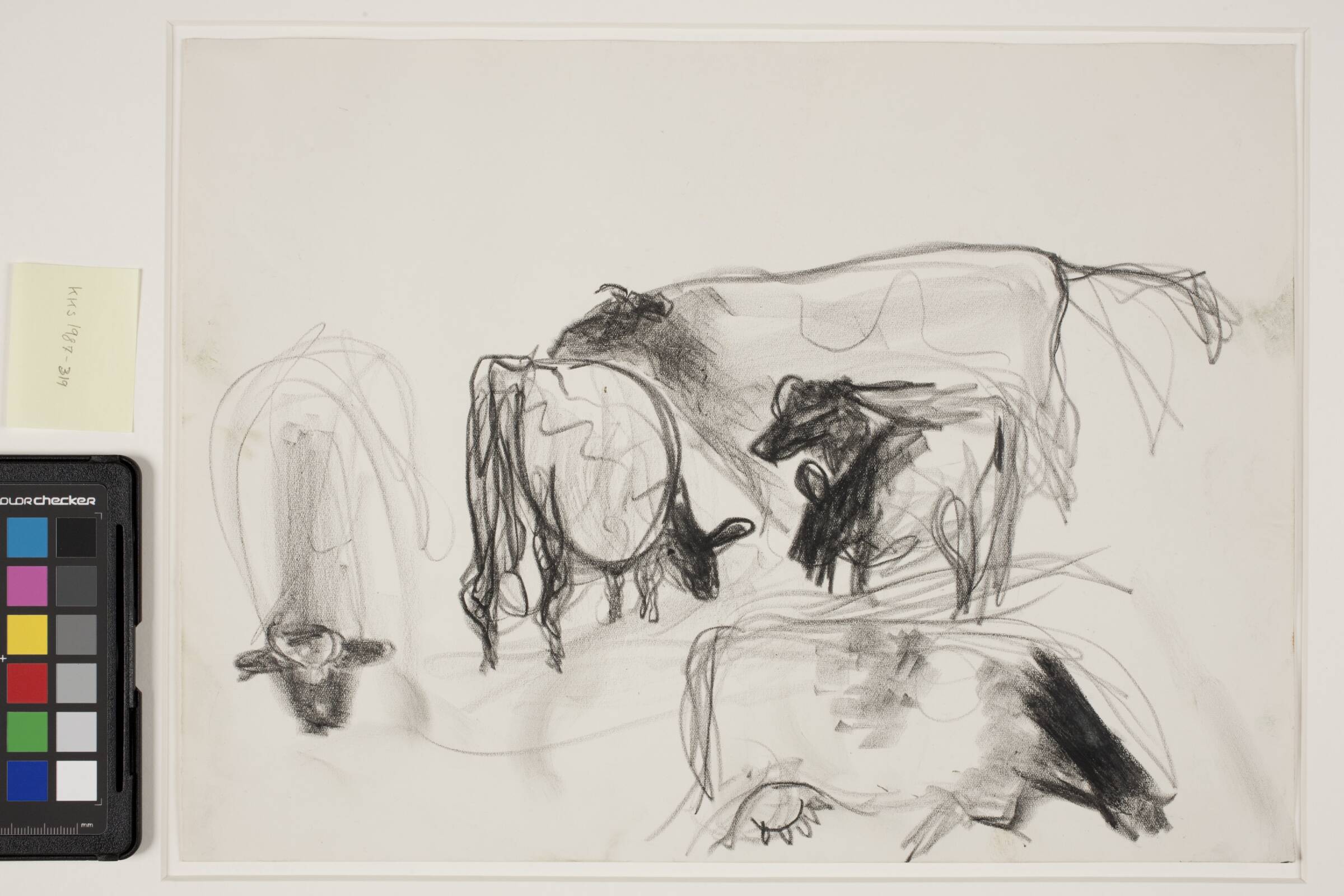 Studie af køer, Jens Søndergaard, 1934