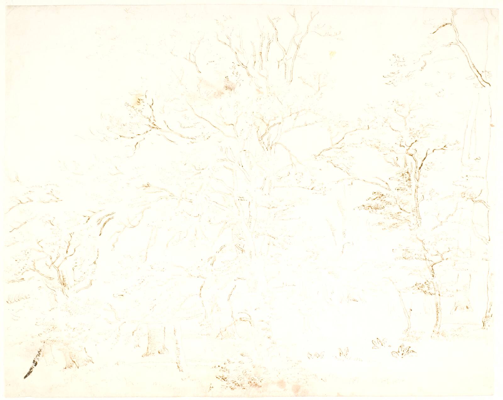 Skovinteriør, Dankvart Dreyer, 1850