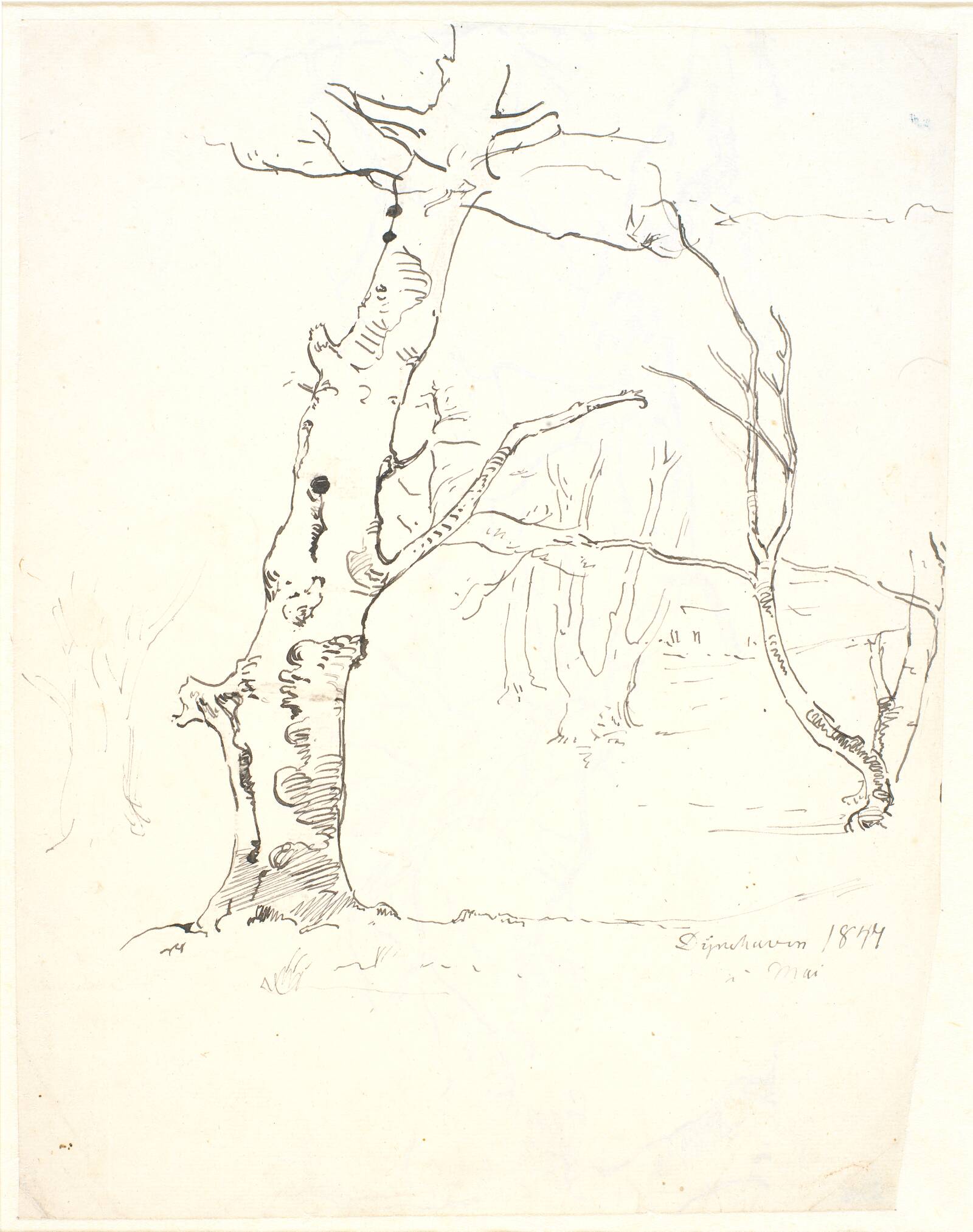 Træstammer, Dankvart Dreyer, 1847