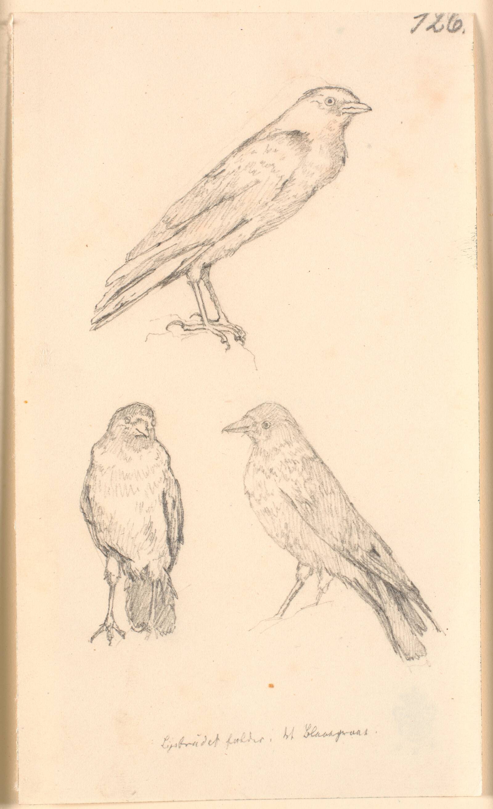 Tre raager, Christen Købke, 1810-1848