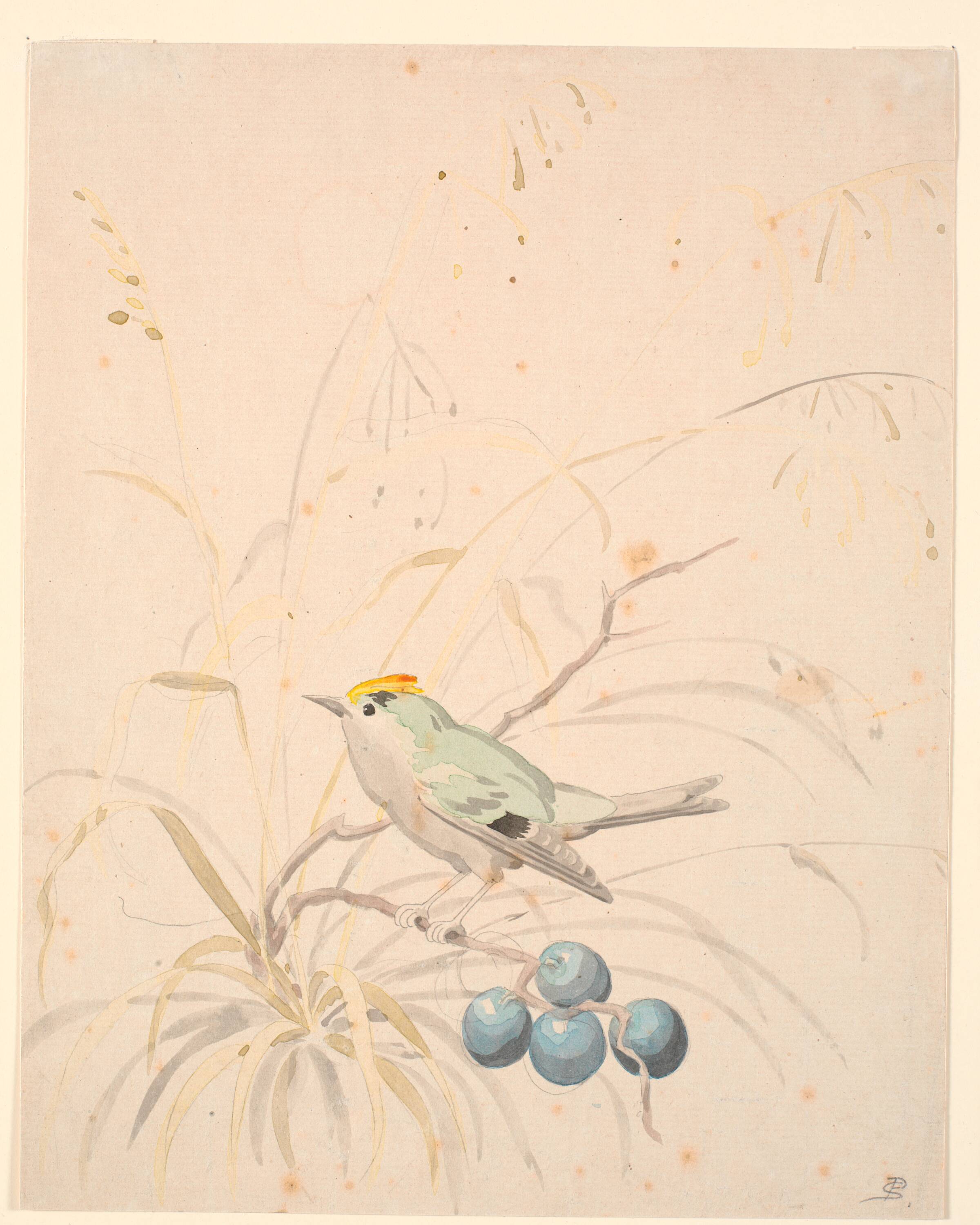 En fuglekonge på en slåengren., P.C. Skovgaard, 1817-1875