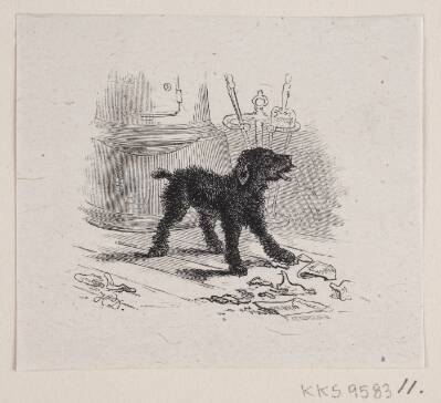En hundehvalp