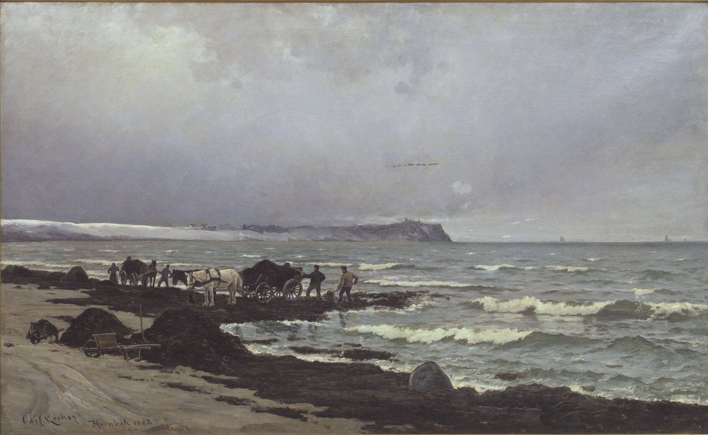 Der læsses tang ved Hornbæk Strand, Carl Locher, 1882