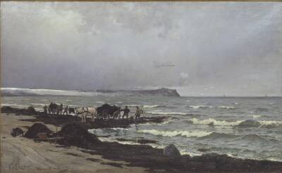 Der læsses tang ved Hornbæk Strand
