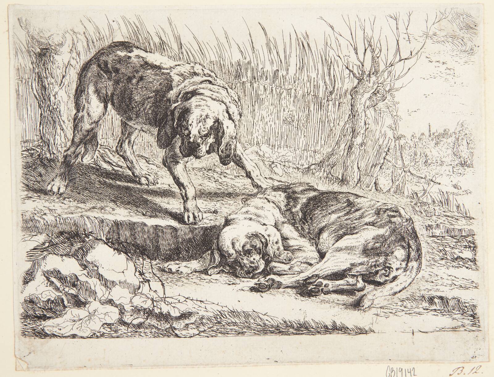 To jagthunde, Joannes Fijt, 1642