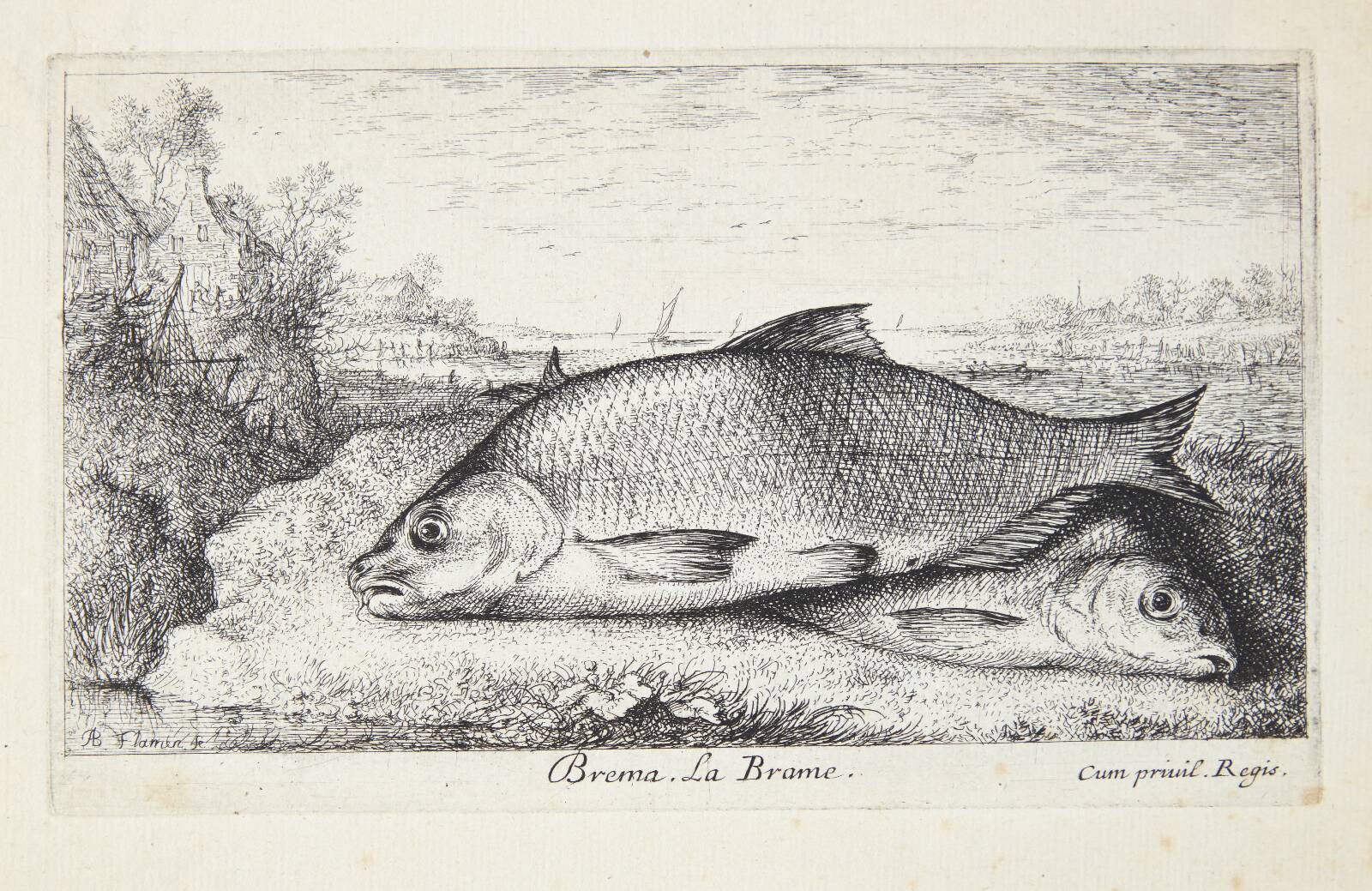 Brasen (Brema), Albert Flamen, 1620-1669