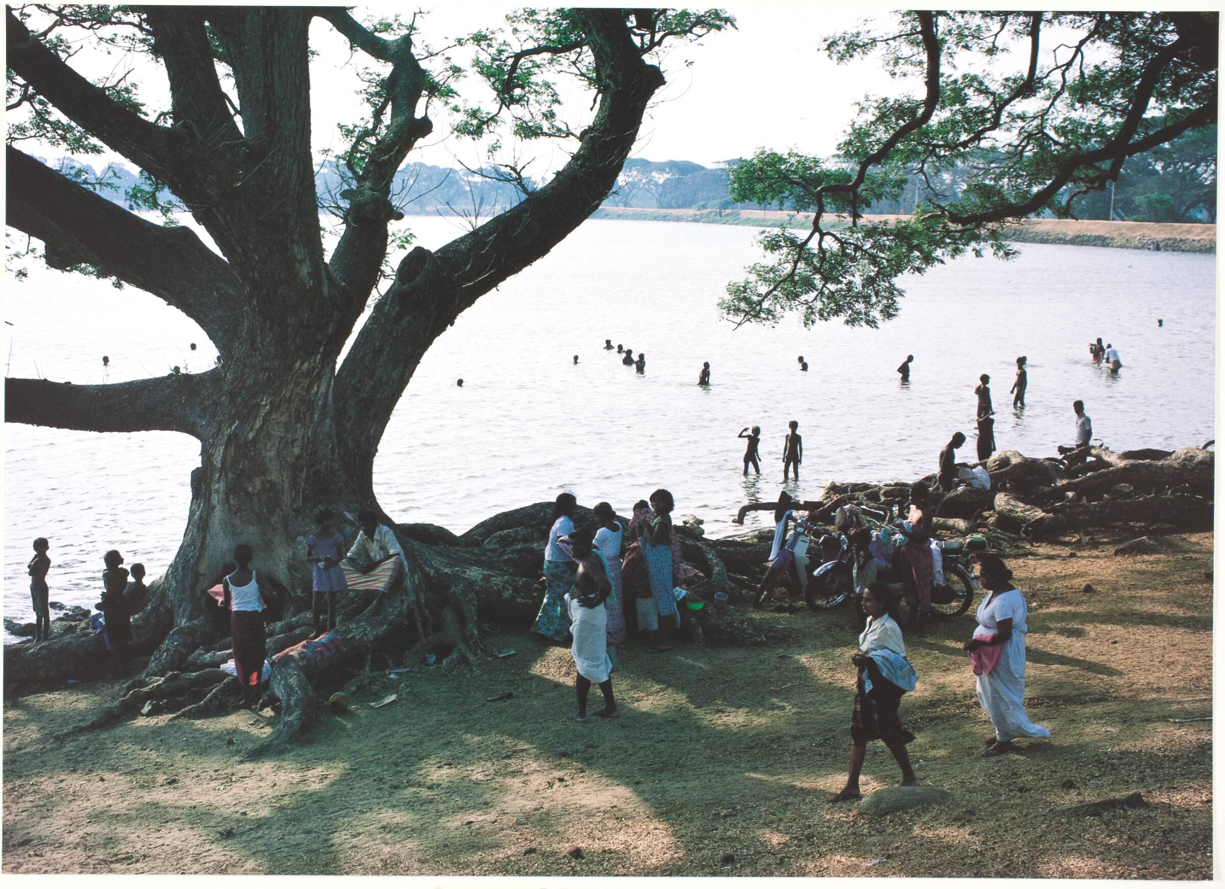 Krydsland, Exil (Anuradhapura), Claus Carstensen, 1992