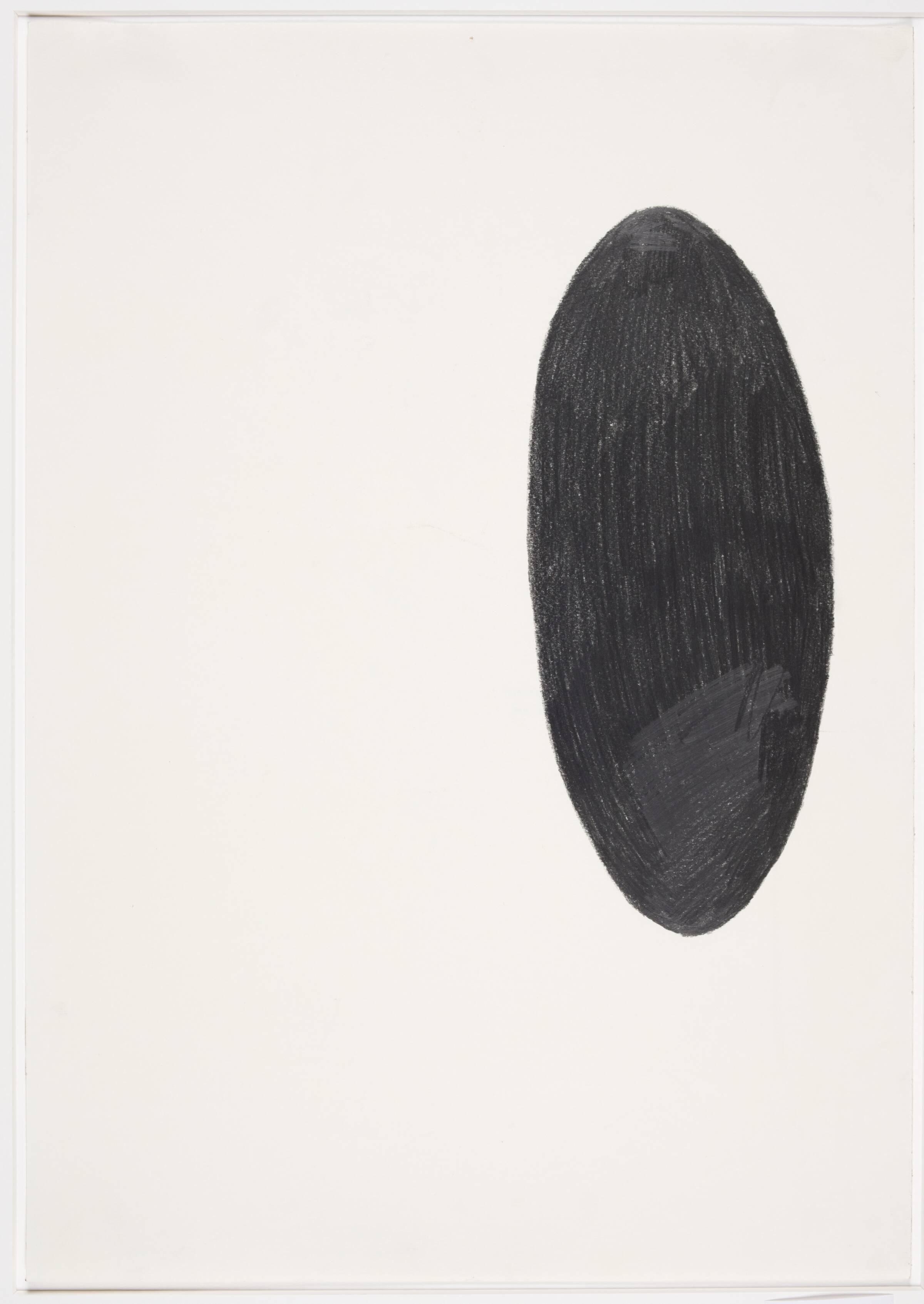 Different views and perspectives, Saskia Te Nicklin, 2012