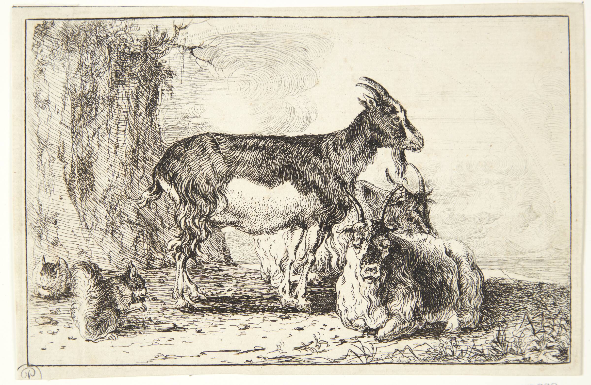 Geder, Jan van den Hecke I, 1619-1684