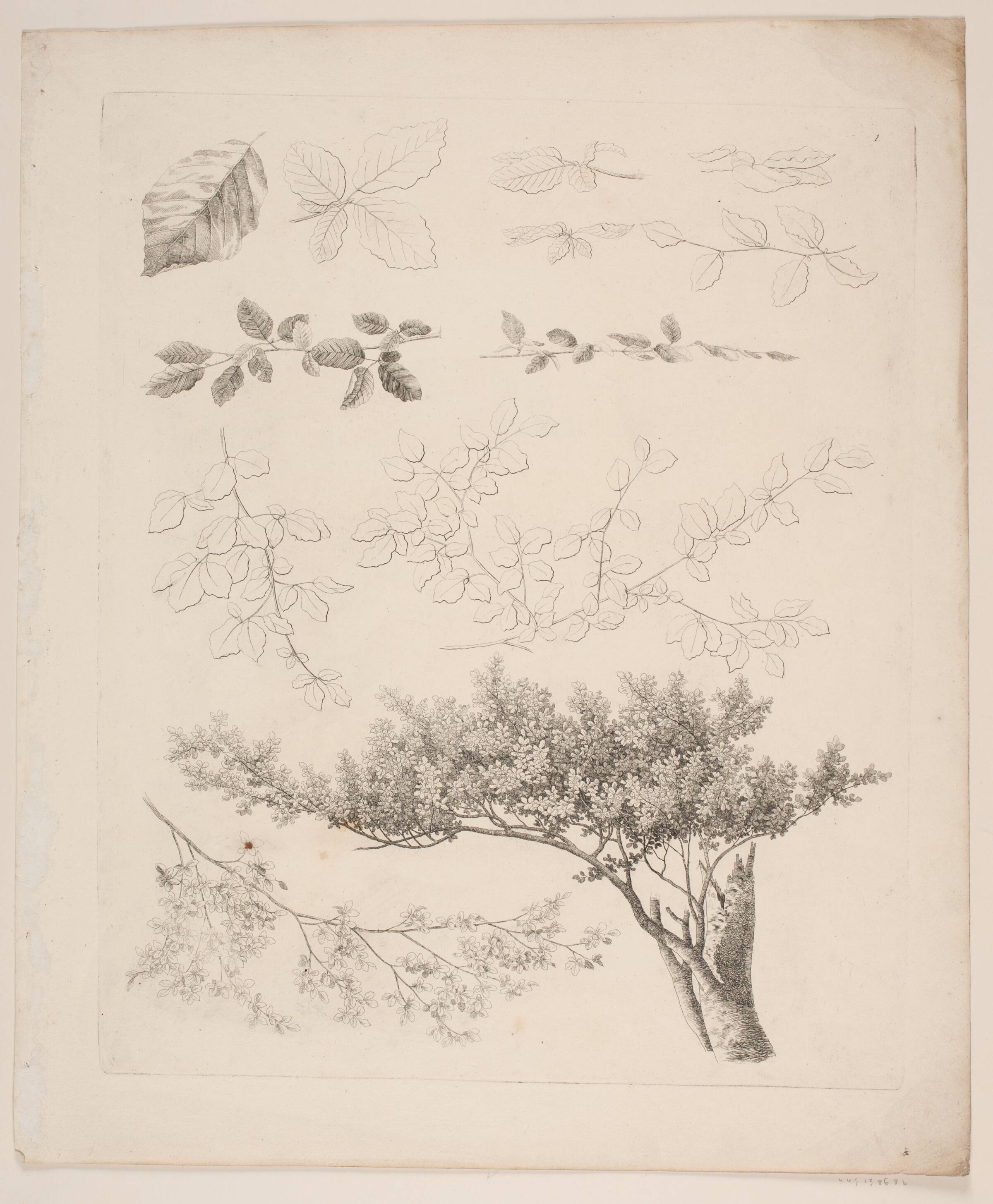 "Studier efter Naturen med Hensyn til Landskabstegning af S.H. Petersen", nr. 1, Søren Henrik Petersen, 1816