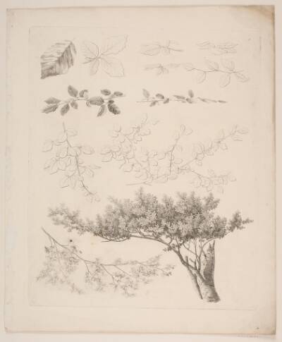 "Studier efter Naturen med Hensyn til Landskabstegning af S.H. Petersen", nr. 1