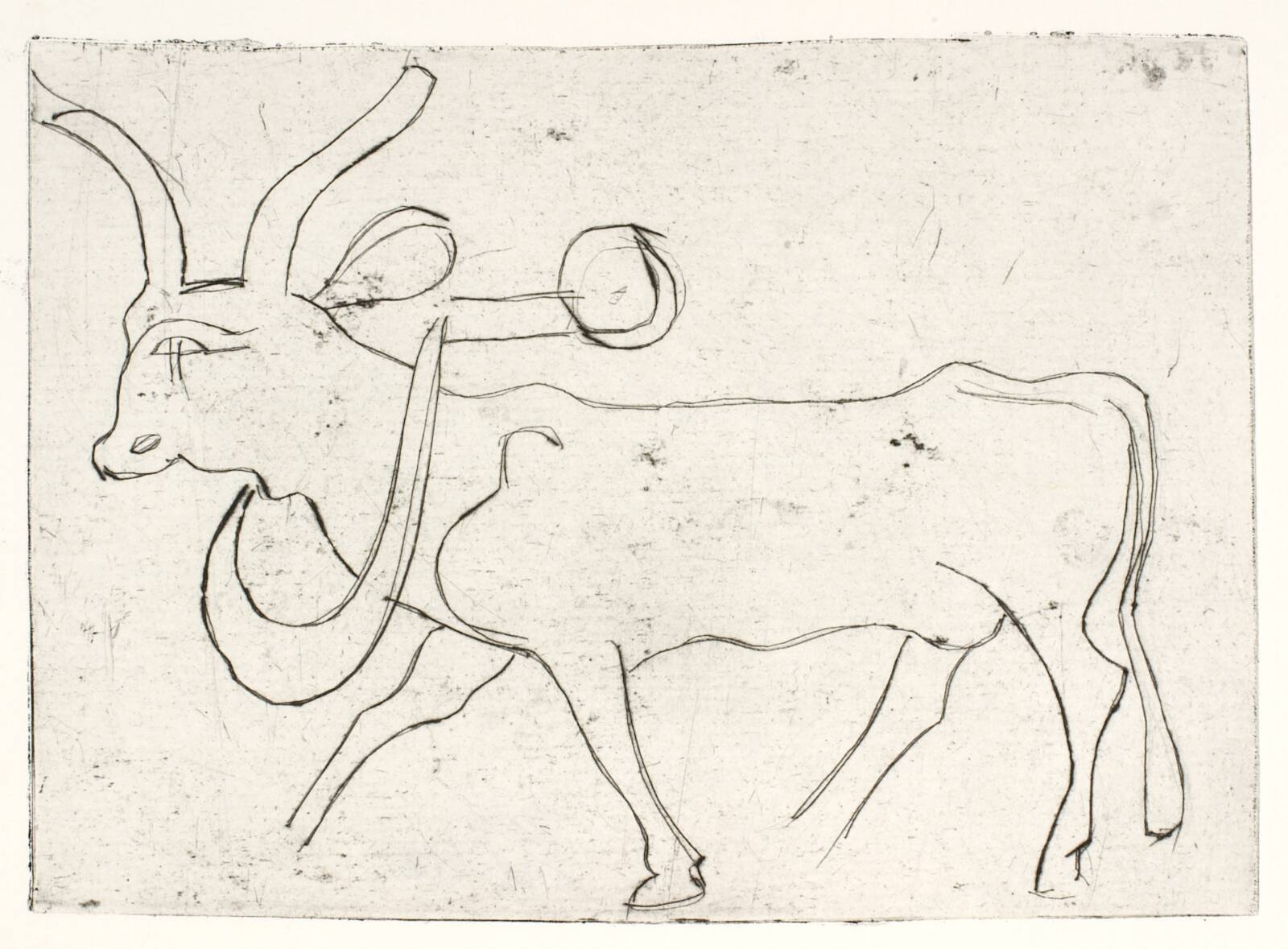 Apistyr, Olivia Holm-Møller, 1948-1951