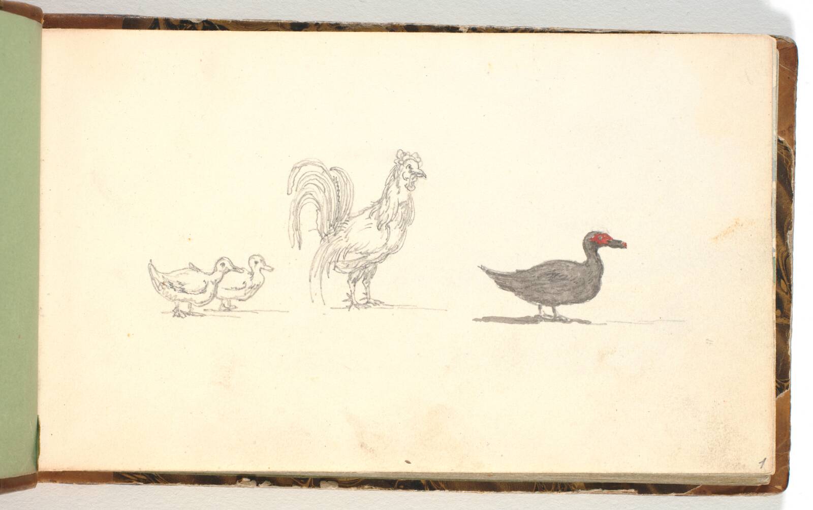 Studier af en hane samt andefugle, Martinus Rørbye, 1832