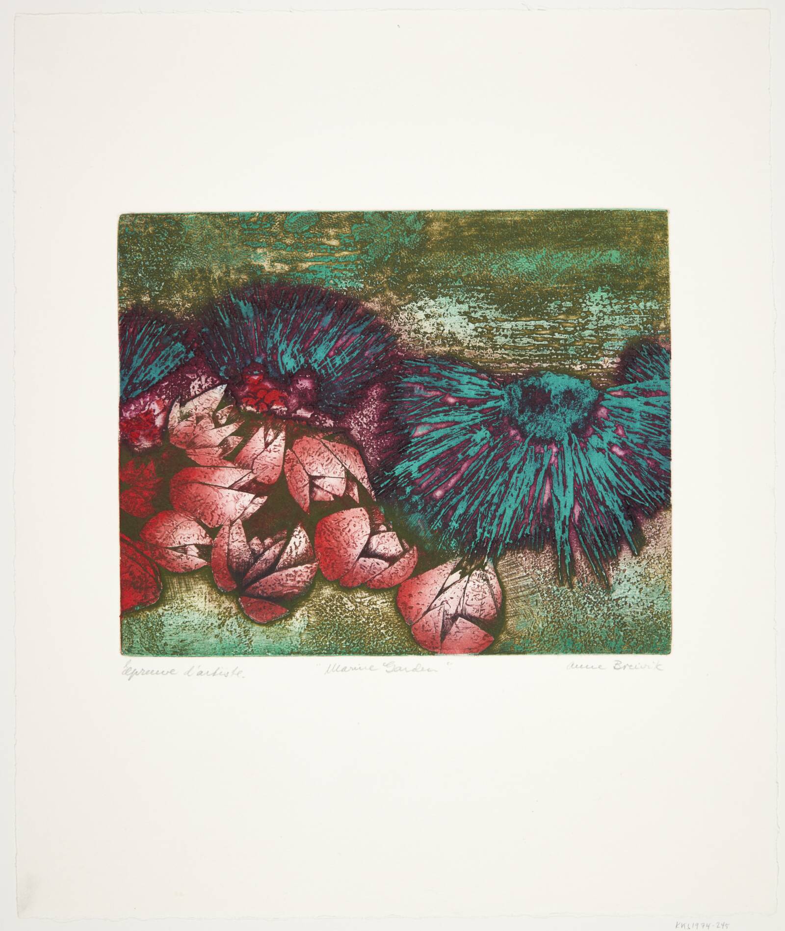 "Marine Garden", Breivik, Anne, 1973