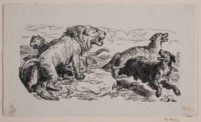 Illustration til "Fablen om løvens jagt"