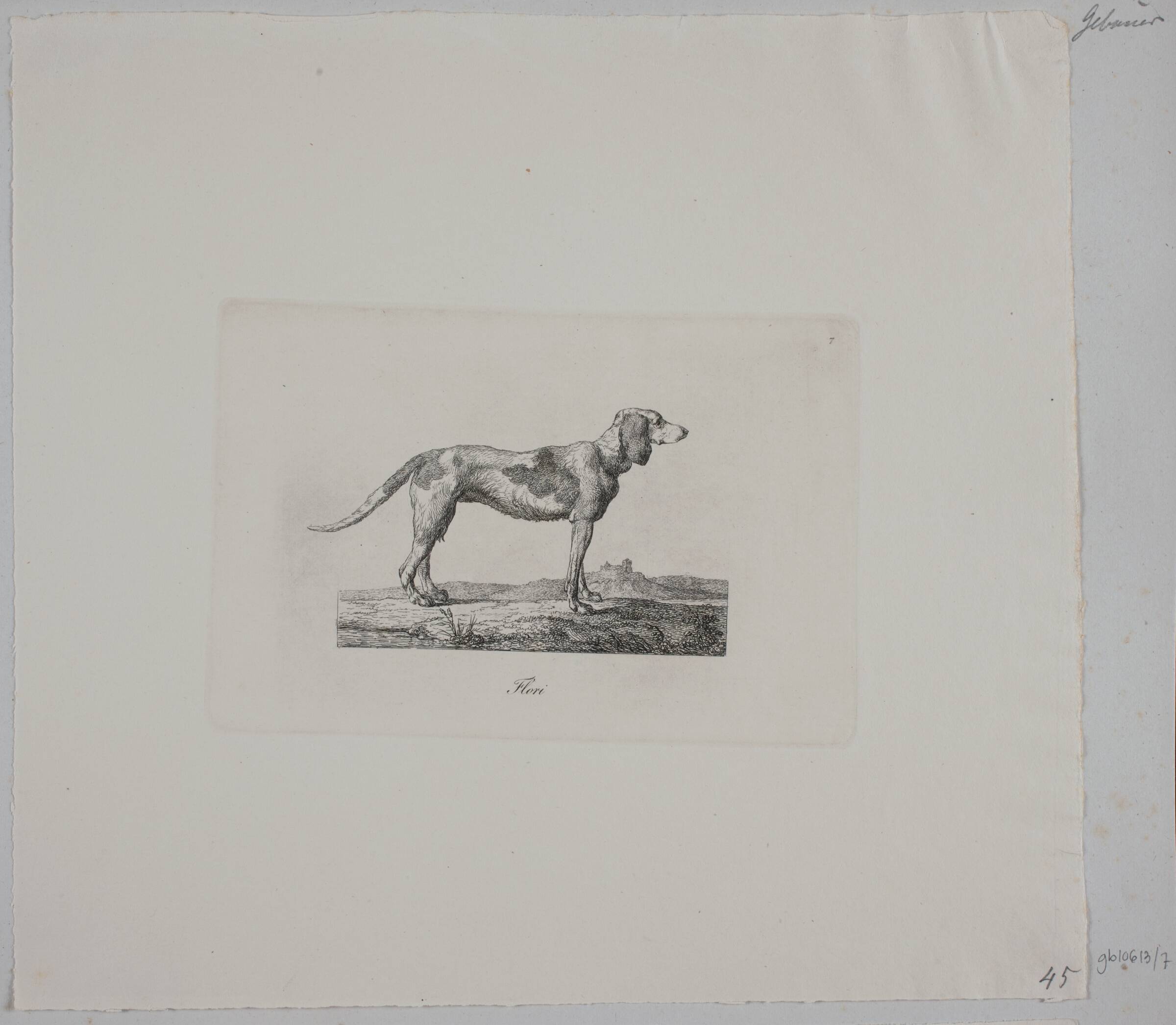 Flori, Christian David Gebauer, 1821