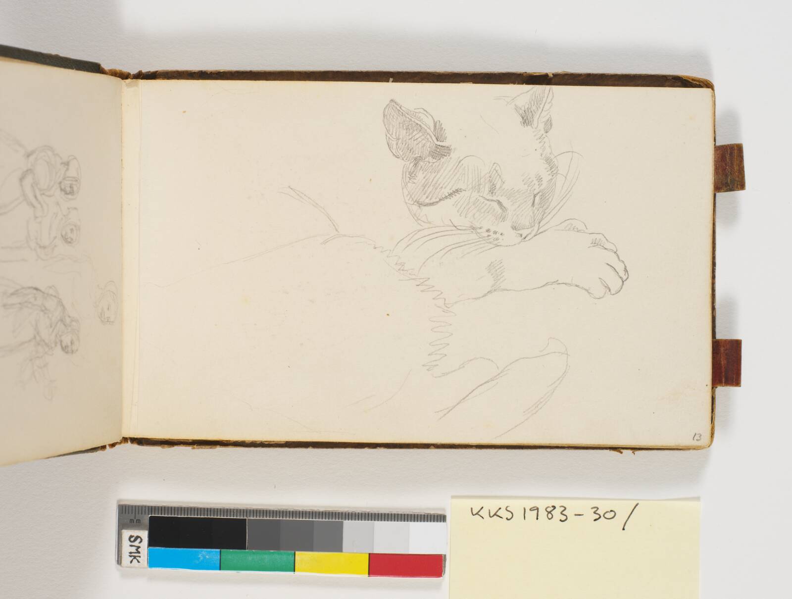 Studie af en kat, P.C. Skovgaard, 1848
