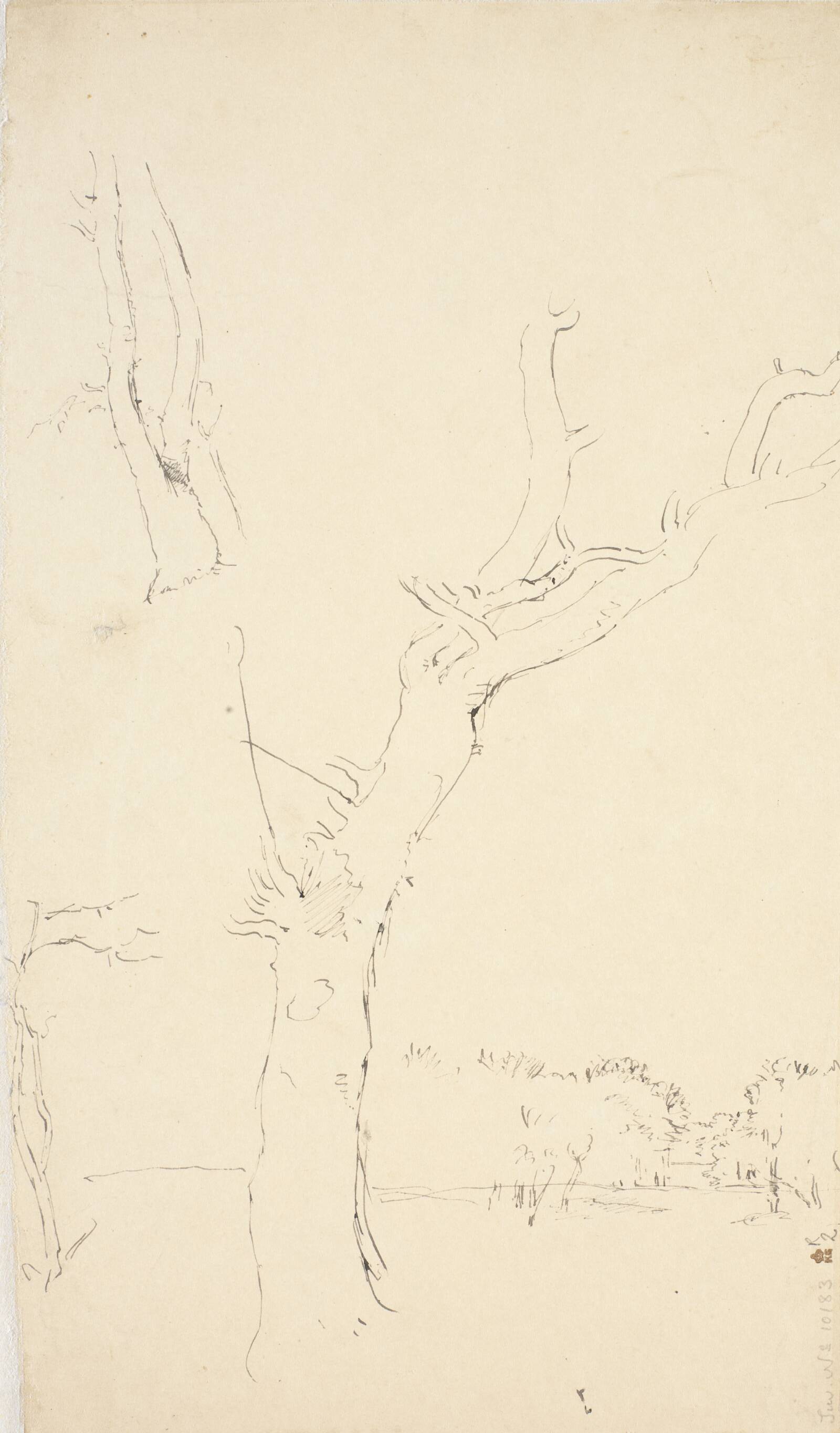 Træstudier, Dankvart Dreyer, 1847-1849