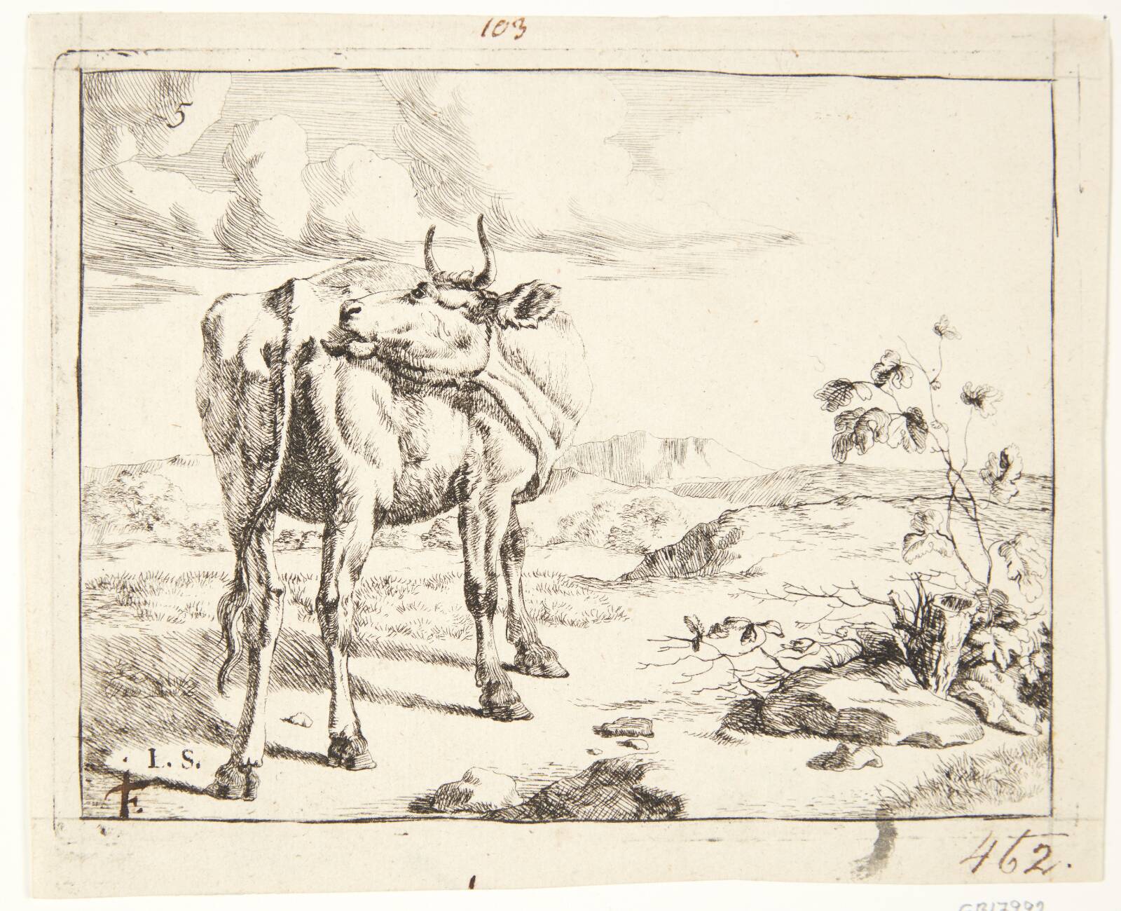 Stående ko, set bagfra, Marcus de Bye, 1638-1690