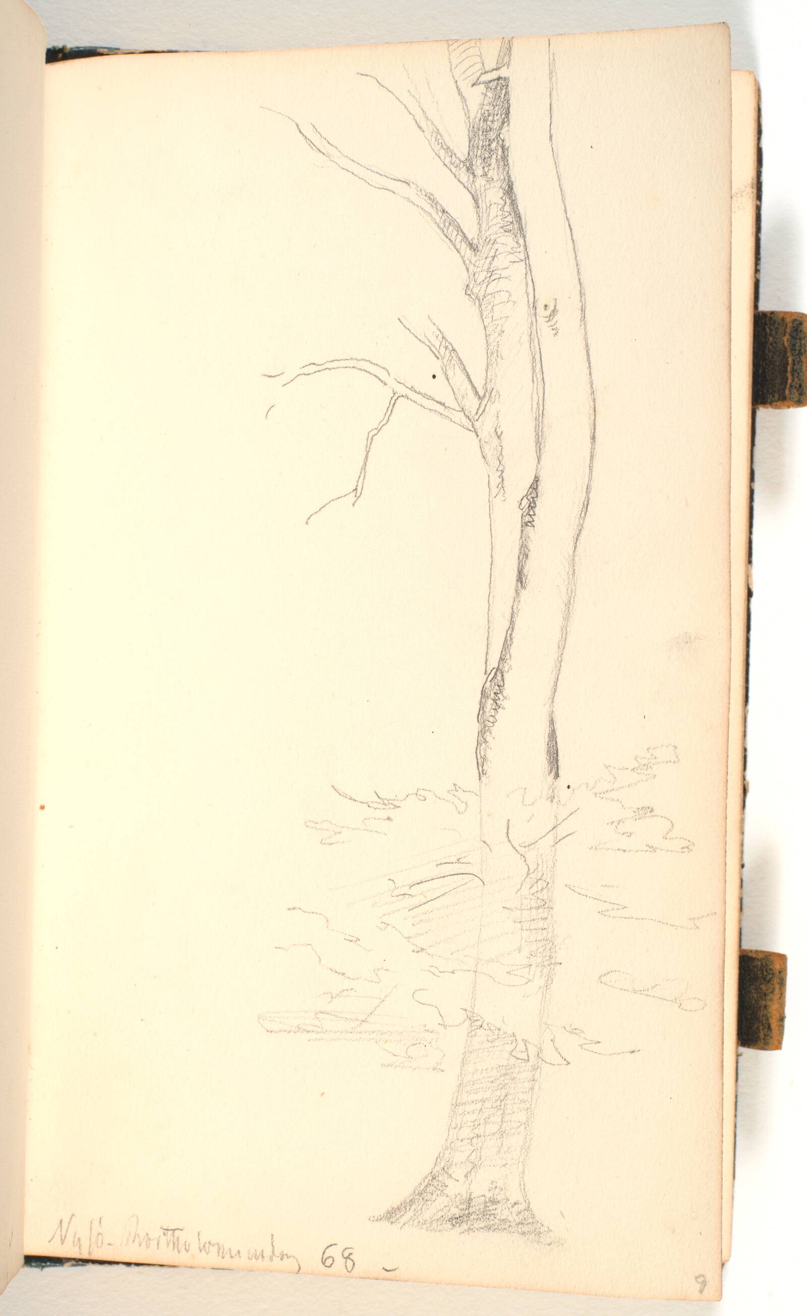 Træstamme, P.C. Skovgaard, 1868