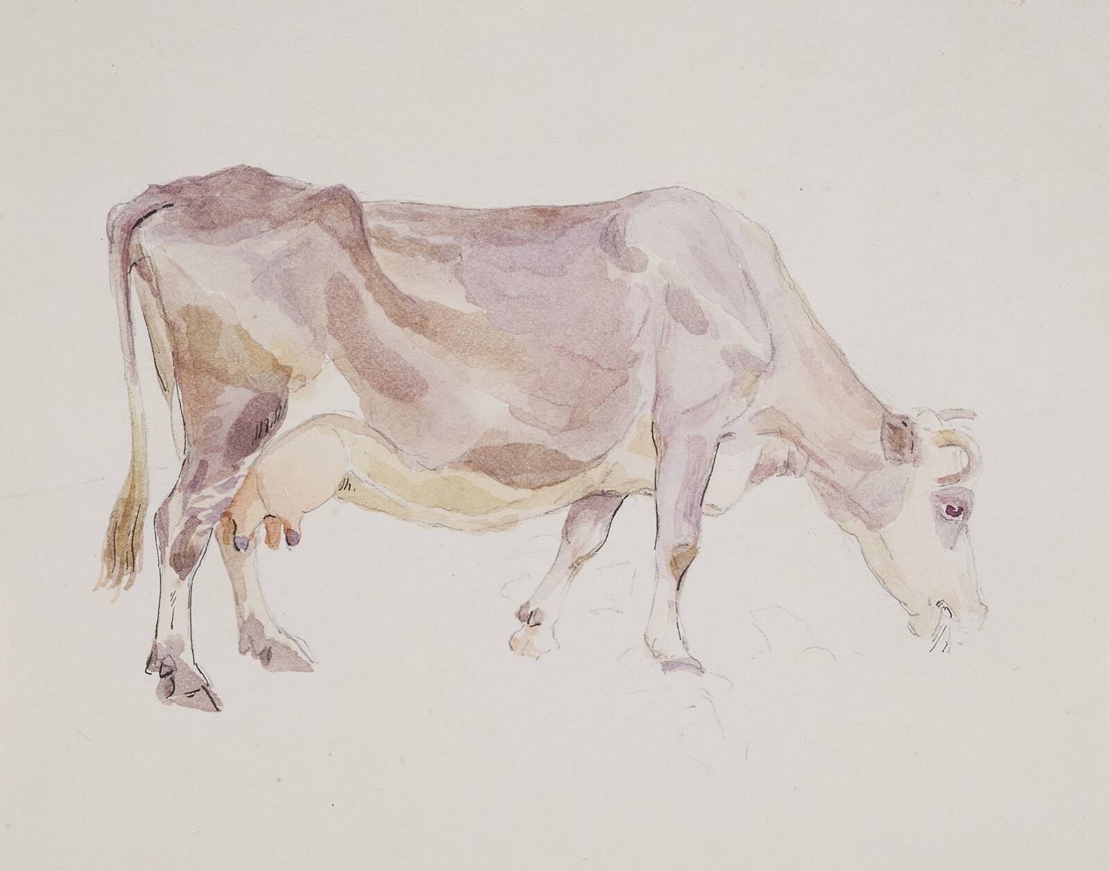 Stående ko, Agnes Lunn, 1870-1943