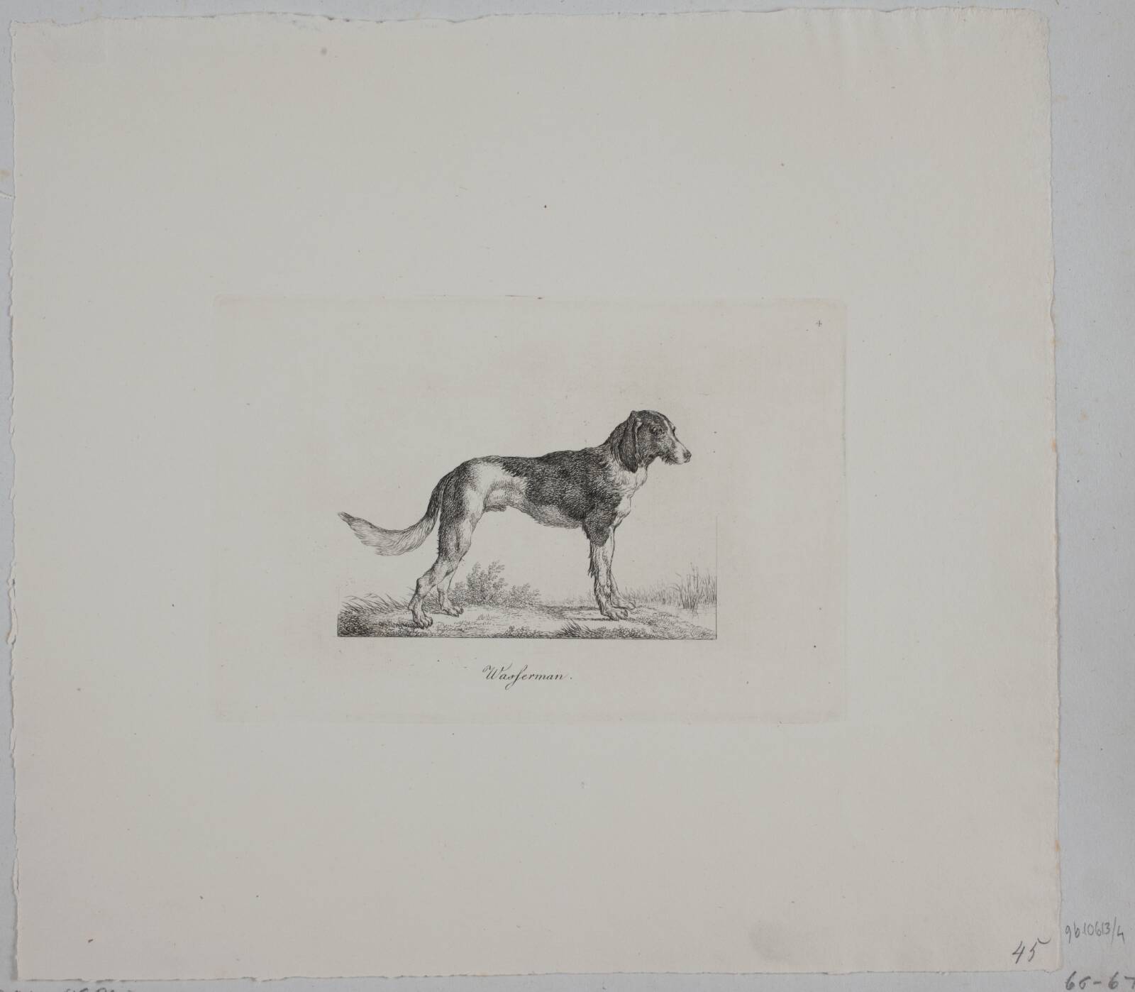 Wasferman, Christian David Gebauer, 1821