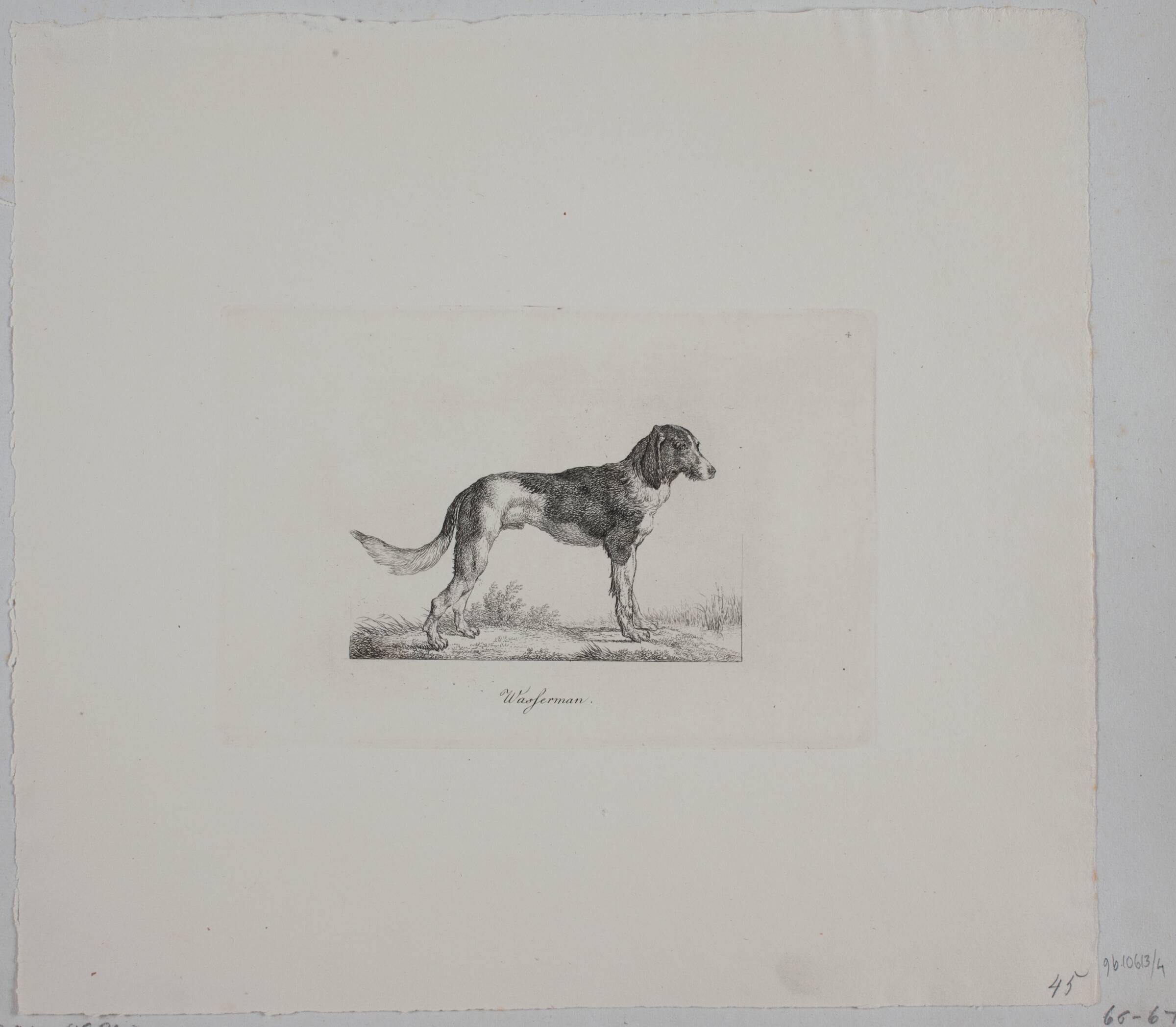 Wasferman, Christian David Gebauer, 1821