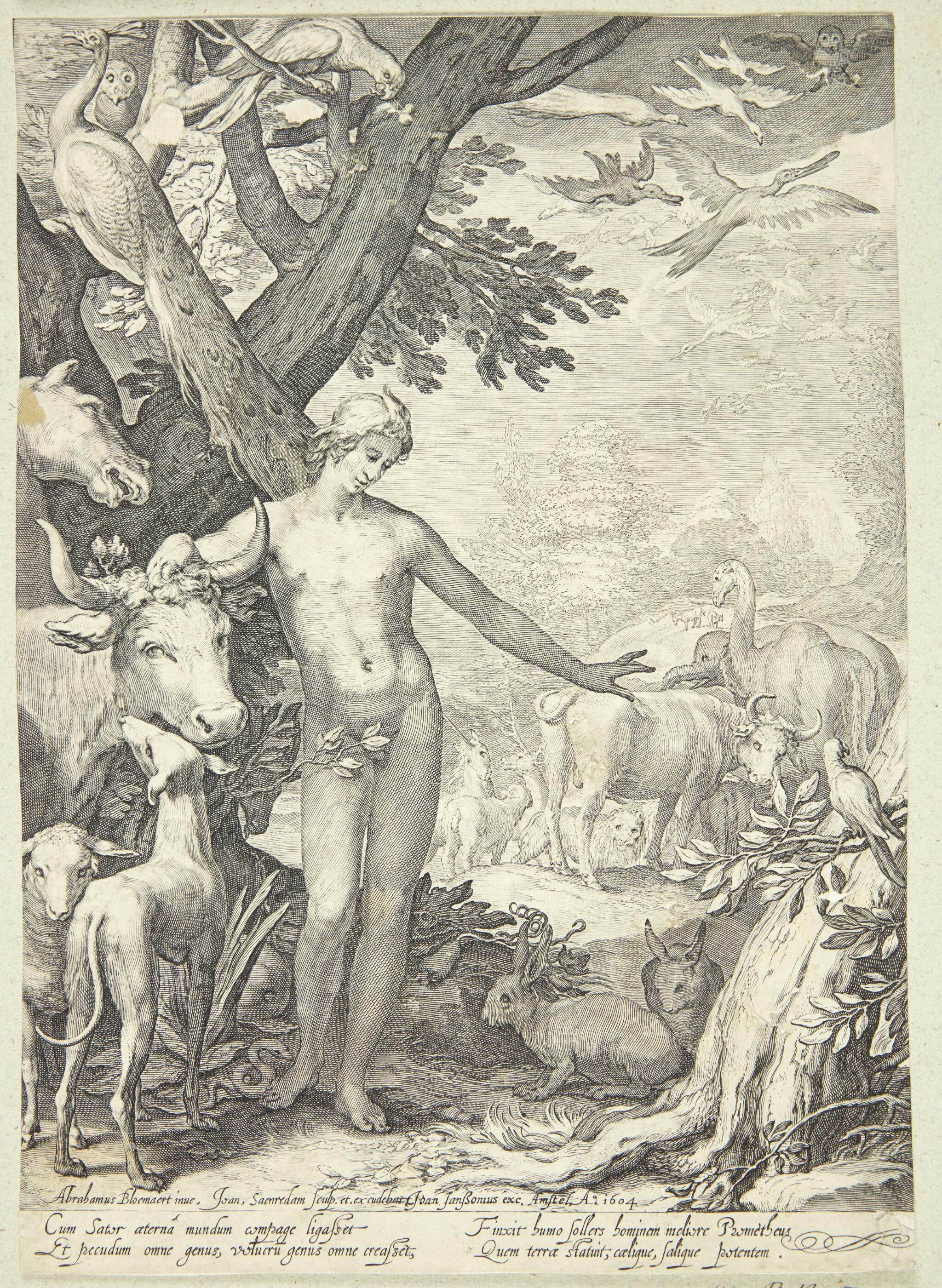 Adam navngiver dyrene