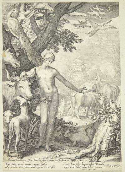 Adam navngiver dyrene