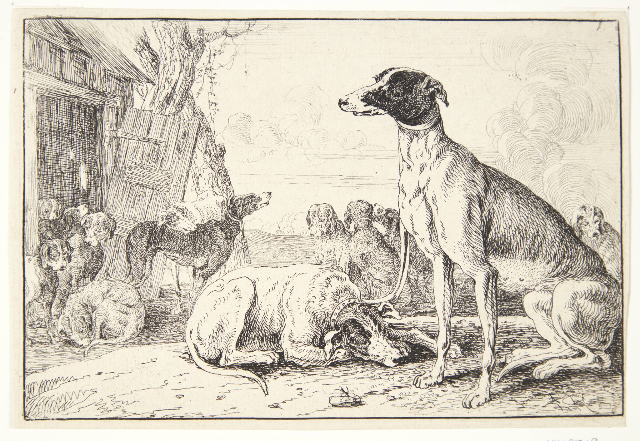 Hundekennel