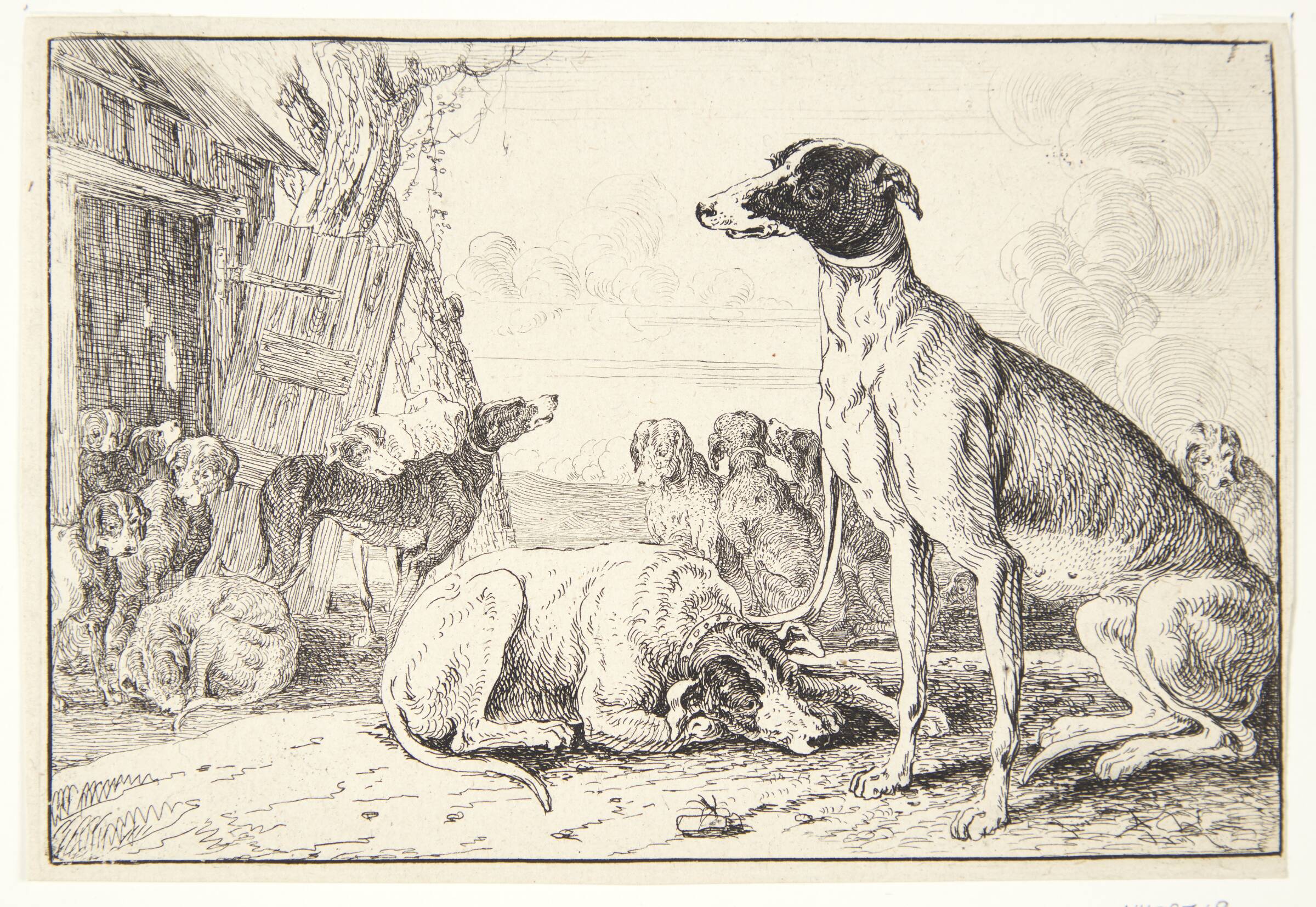 Hundekennel, Jan van den Hecke I, 1619-1684